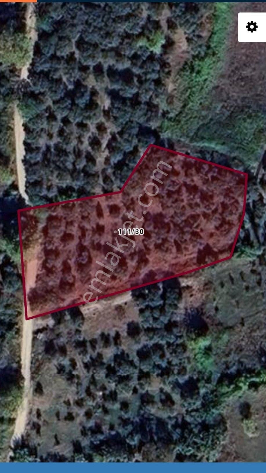 Se&as Exclusıve: Doğanlarda Yatırımlık Fırsat Zeytinlik! - Görsel 8