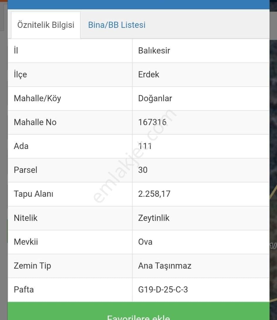 Se&as Exclusıve: Doğanlarda Yatırımlık Fırsat Zeytinlik! - Görsel 2
