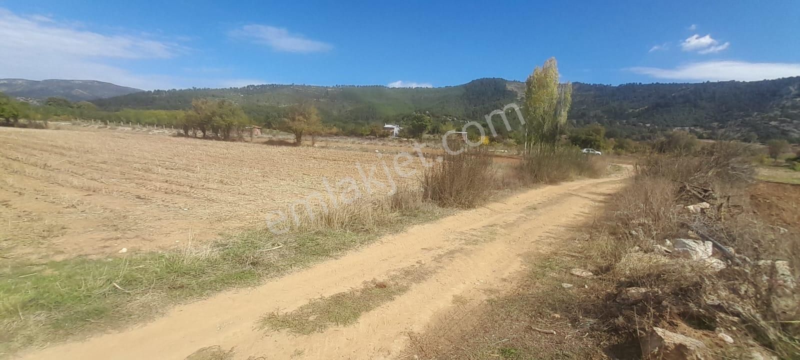 Burdur Ağlasun Hisarköy'de 4.277 M2 Kadastro Yolu Olan Satılık Arazi - Görsel 5