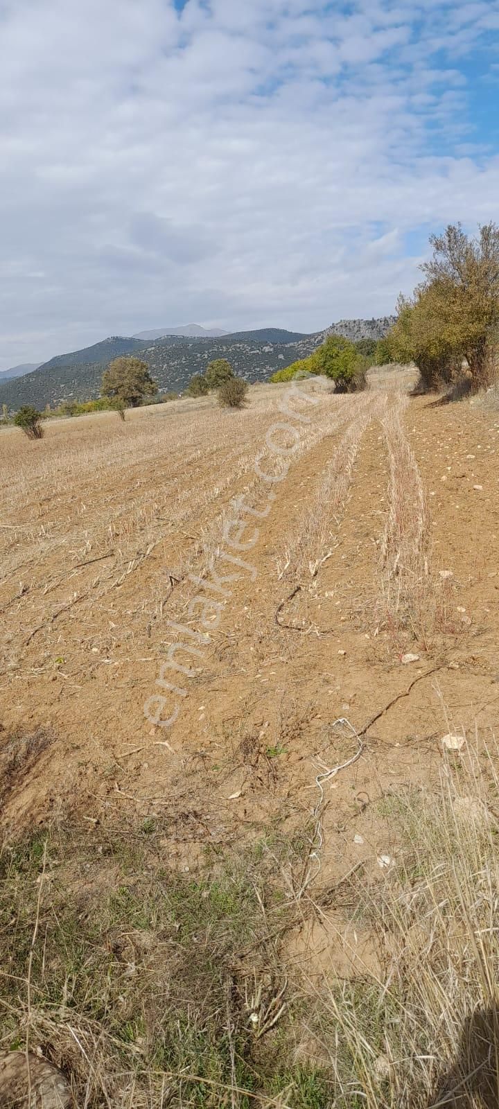 Burdur Ağlasun Hisarköy'de 4.277 M2 Kadastro Yolu Olan Satılık Arazi - Görsel 7