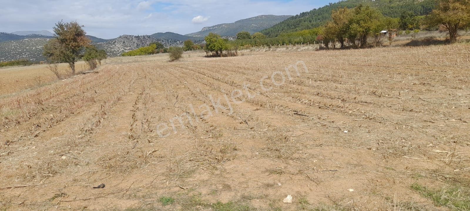 Burdur Ağlasun Hisarköy'de 4.277 M2 Kadastro Yolu Olan Satılık Arazi - Görsel 8