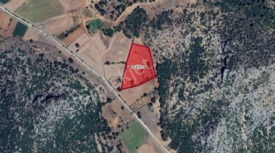 Burdur Ağlasun Hisarköy'de 12.390m2 Satılık Arazi - Görsel 2