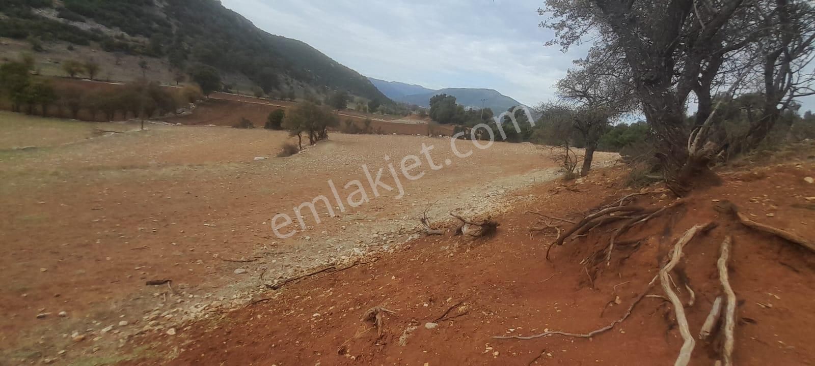 Burdur Ağlasun Hisarköy'de 12.390m2 Satılık Arazi - Görsel 4