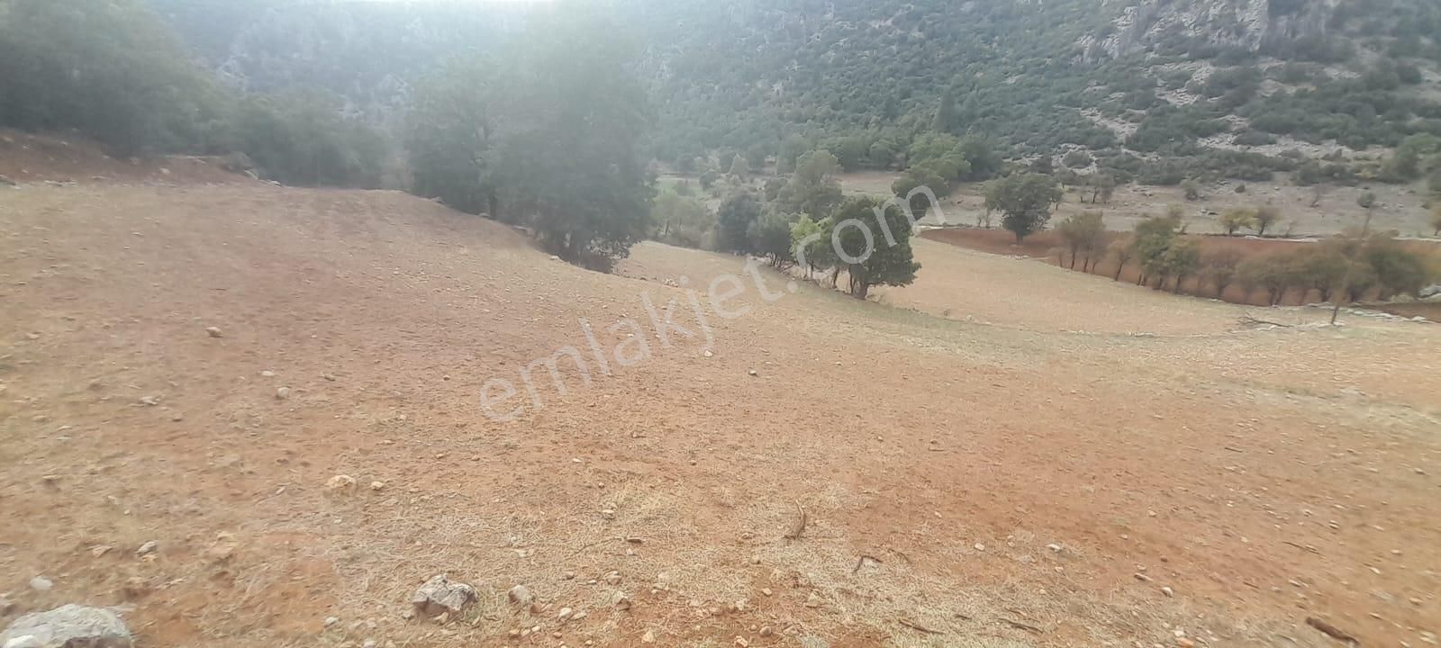 Burdur Ağlasun Hisarköy'de 12.390m2 Satılık Arazi - Görsel 6