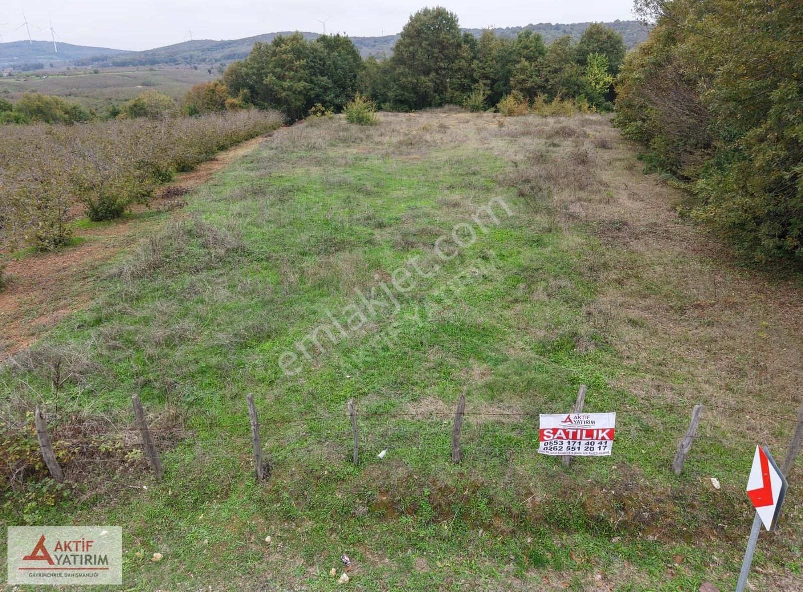 Ünlü Sardala Koyu'na 8 Dk Mesafede Asfalt Cepheli 2523 M2 Tarla - Görsel 2