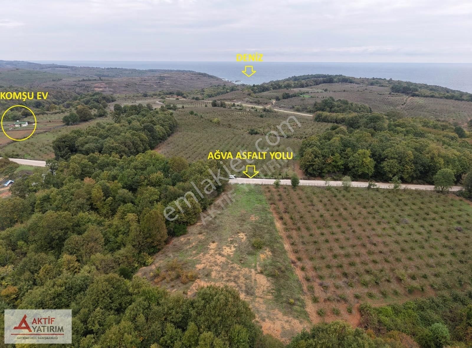 Ünlü Sardala Koyu'na 8 Dk Mesafede Asfalt Cepheli 2523 M2 Tarla - Görsel 8