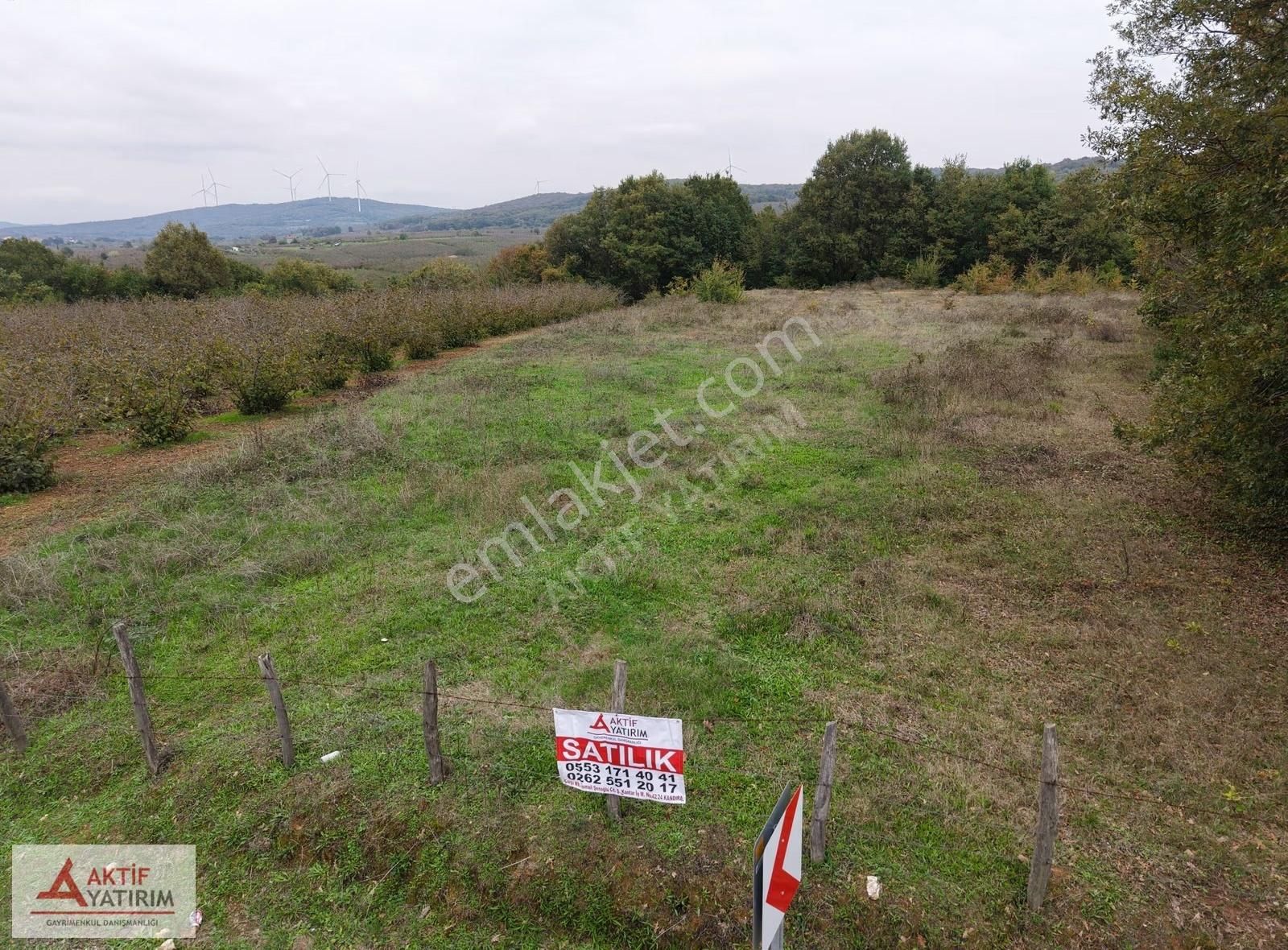 Ünlü Sardala Koyu'na 8 Dk Mesafede Asfalt Cepheli 2523 M2 Tarla - Görsel 3