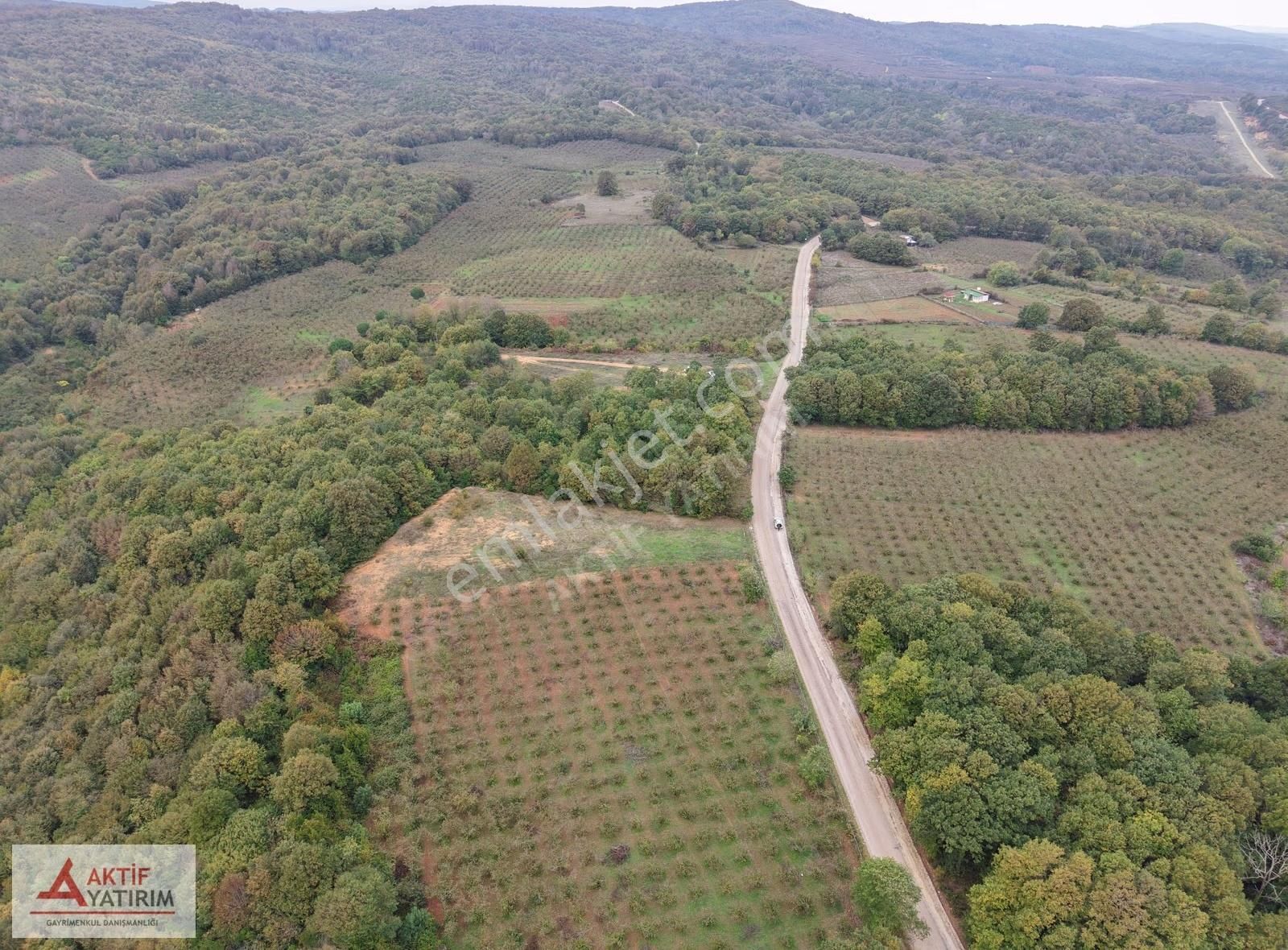 Ünlü Sardala Koyu'na 8 Dk Mesafede Asfalt Cepheli 2523 M2 Tarla - Görsel 11