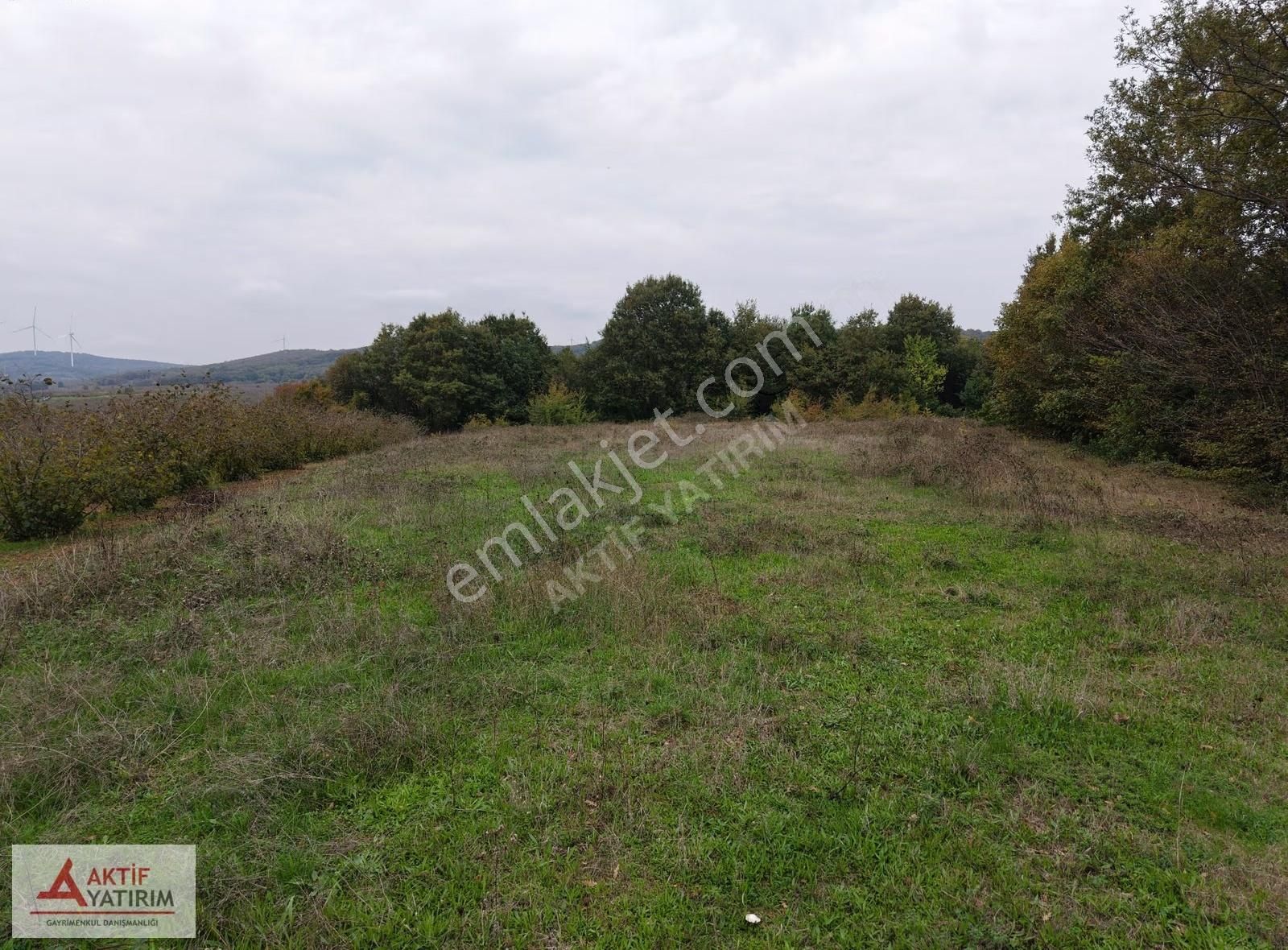 Ünlü Sardala Koyu'na 8 Dk Mesafede Asfalt Cepheli 2523 M2 Tarla - Görsel 15