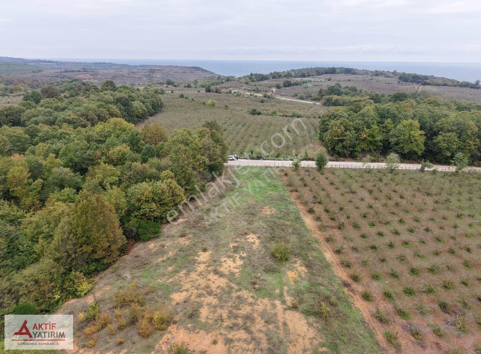 Ünlü Sardala Koyu'na 8 Dk Mesafede Asfalt Cepheli 2523 M2 Tarla - Görsel 13