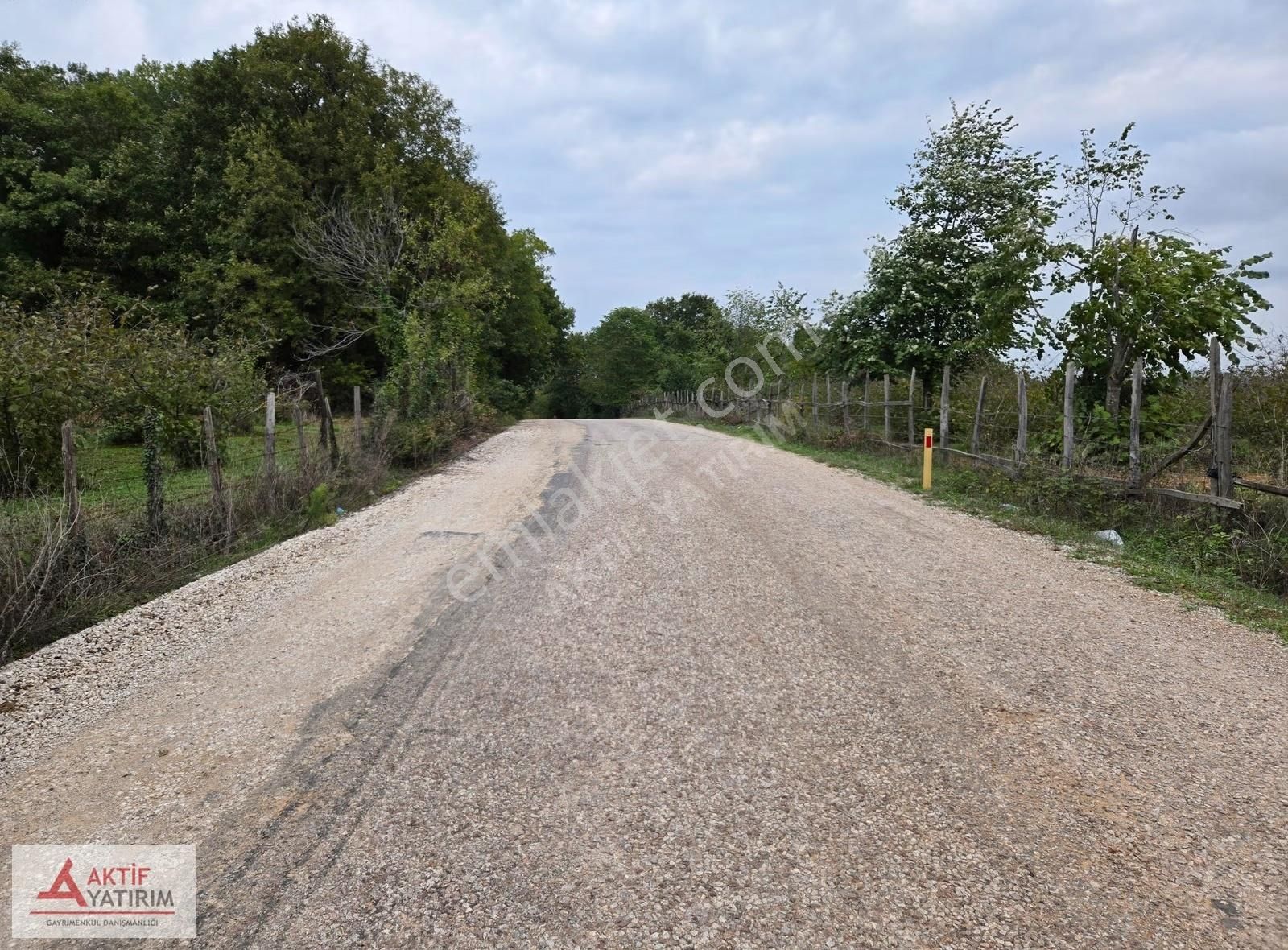 Ünlü Sardala Koyu'na 8 Dk Mesafede Asfalt Cepheli 2523 M2 Tarla - Görsel 20