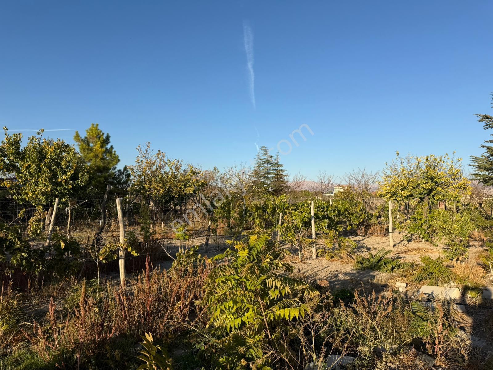 E.gökal Kemerhisar İçmeceler Yolu 3.838m2 Restoran Ruhsatlı Arsa - Görsel 8