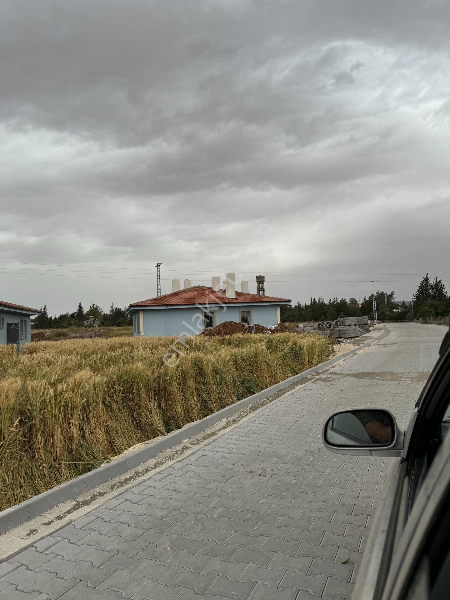 Kilis Yavuzluda Satlık Çevreyolu Üzeri Evlik Arazi 4618 Metre - Görsel 8