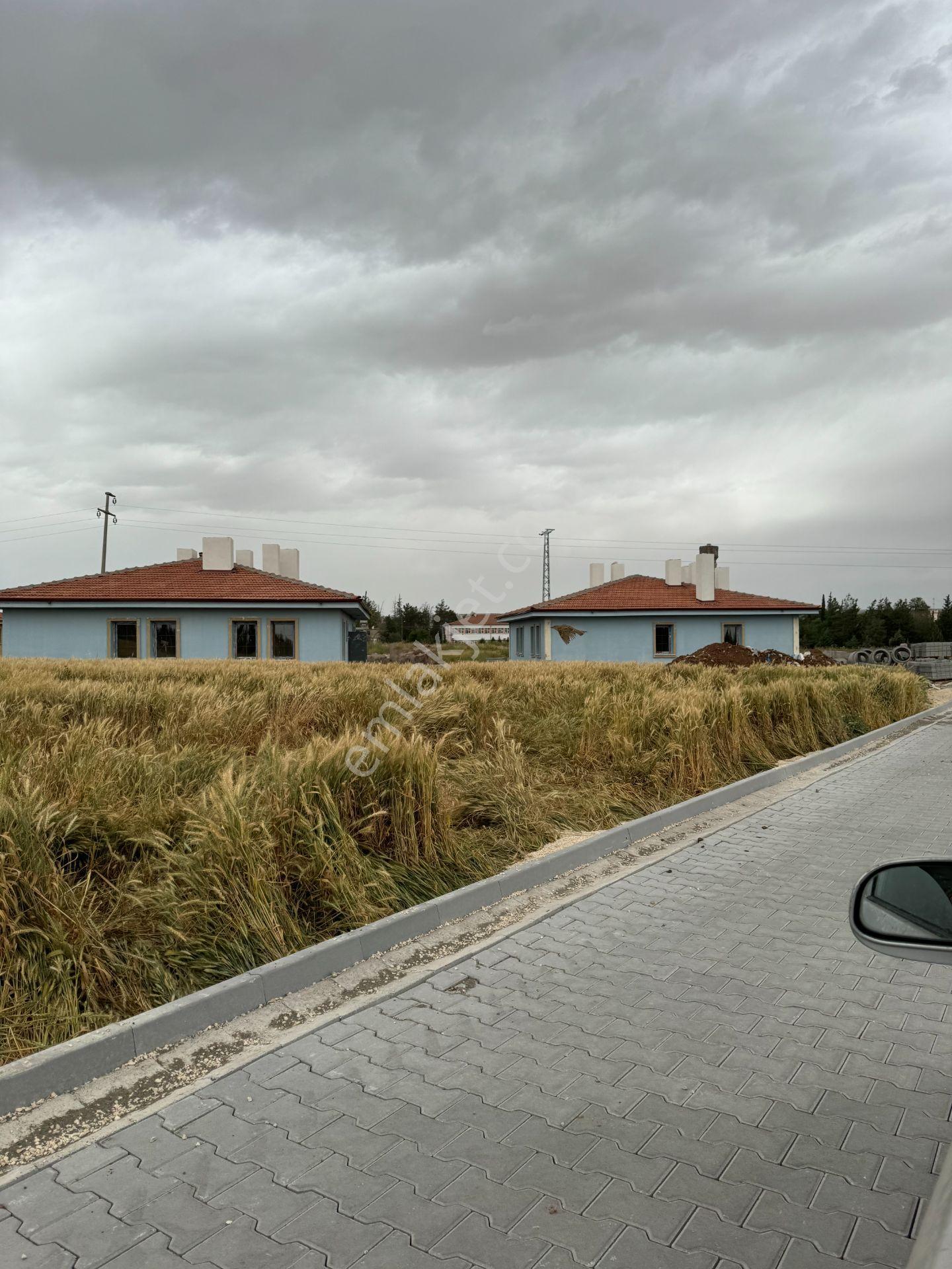Kilis Yavuzluda Satlık Çevreyolu Üzeri Evlik Arazi 4618 Metre - Görsel 7