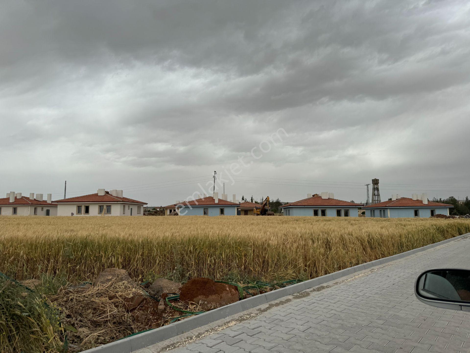 Kilis Yavuzluda Satlık Çevreyolu Üzeri Evlik Arazi 4618 Metre - Görsel 6