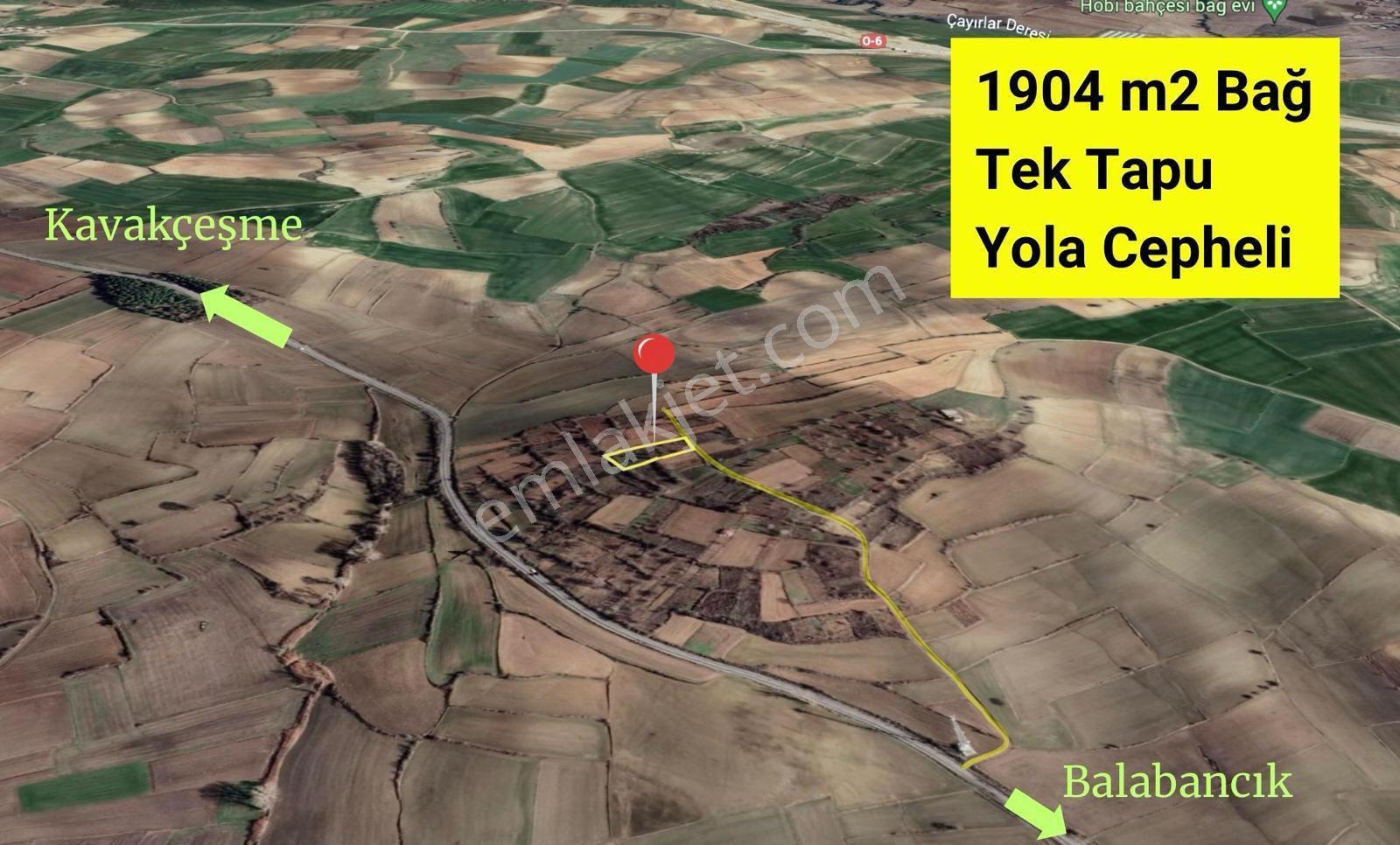 Tekirdağ Malkara Satılık Bağ Yeri - Görsel 2