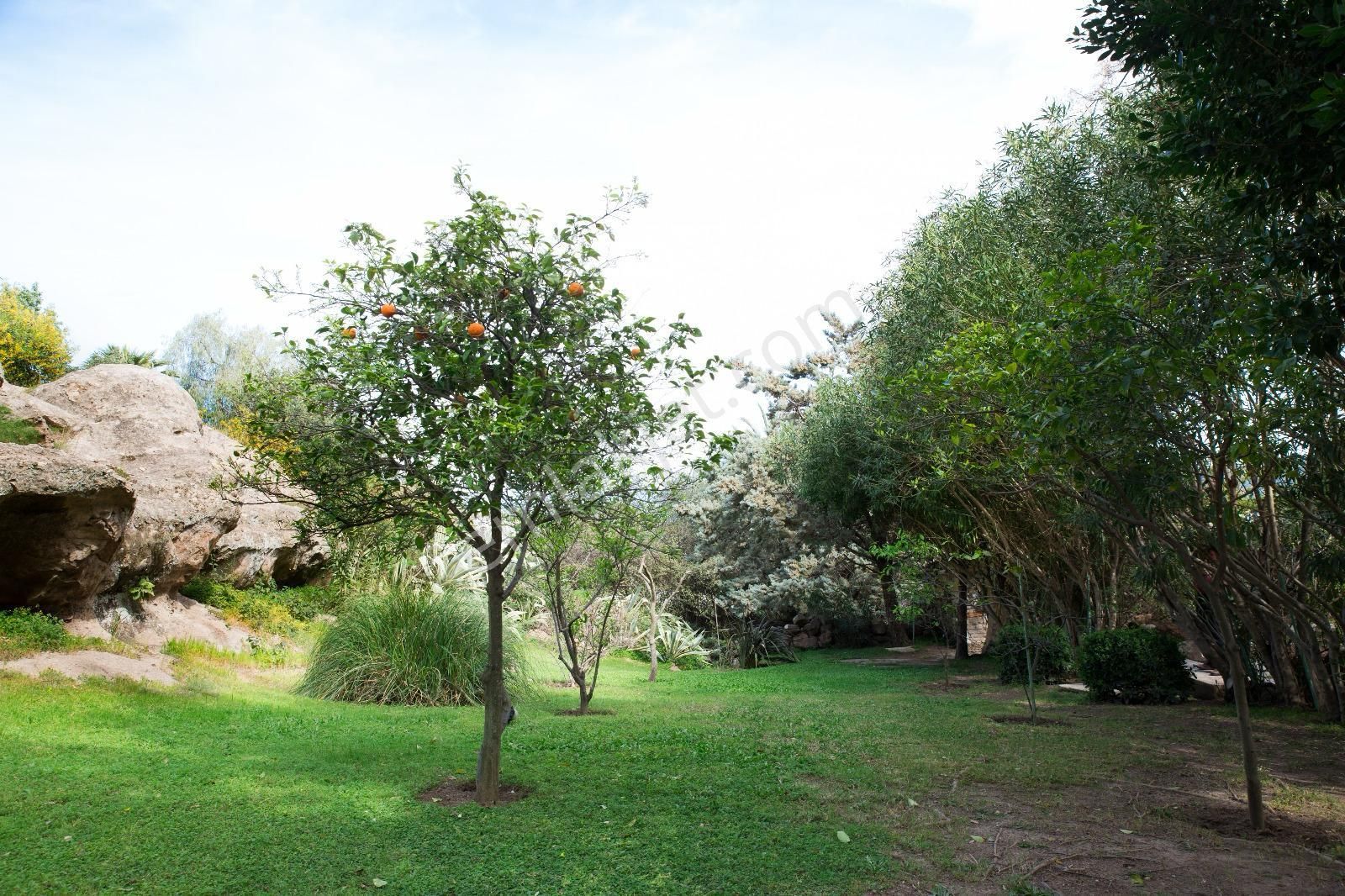 Türkbükünde Özel Havuzlu, Deniz Manzaralı Lüks Villa! - Görsel 16