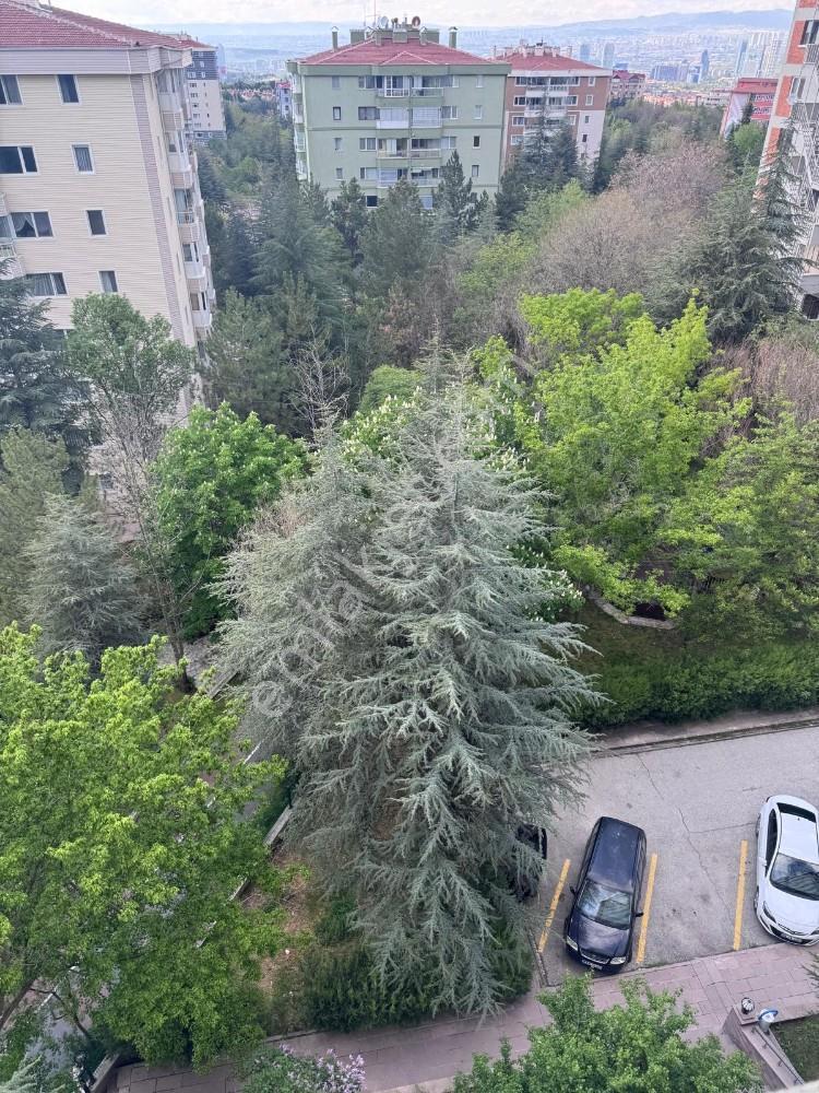 Turyaptan Çiğdemde İçinde Boş Kiracısız Satılık Daire - Görsel 30