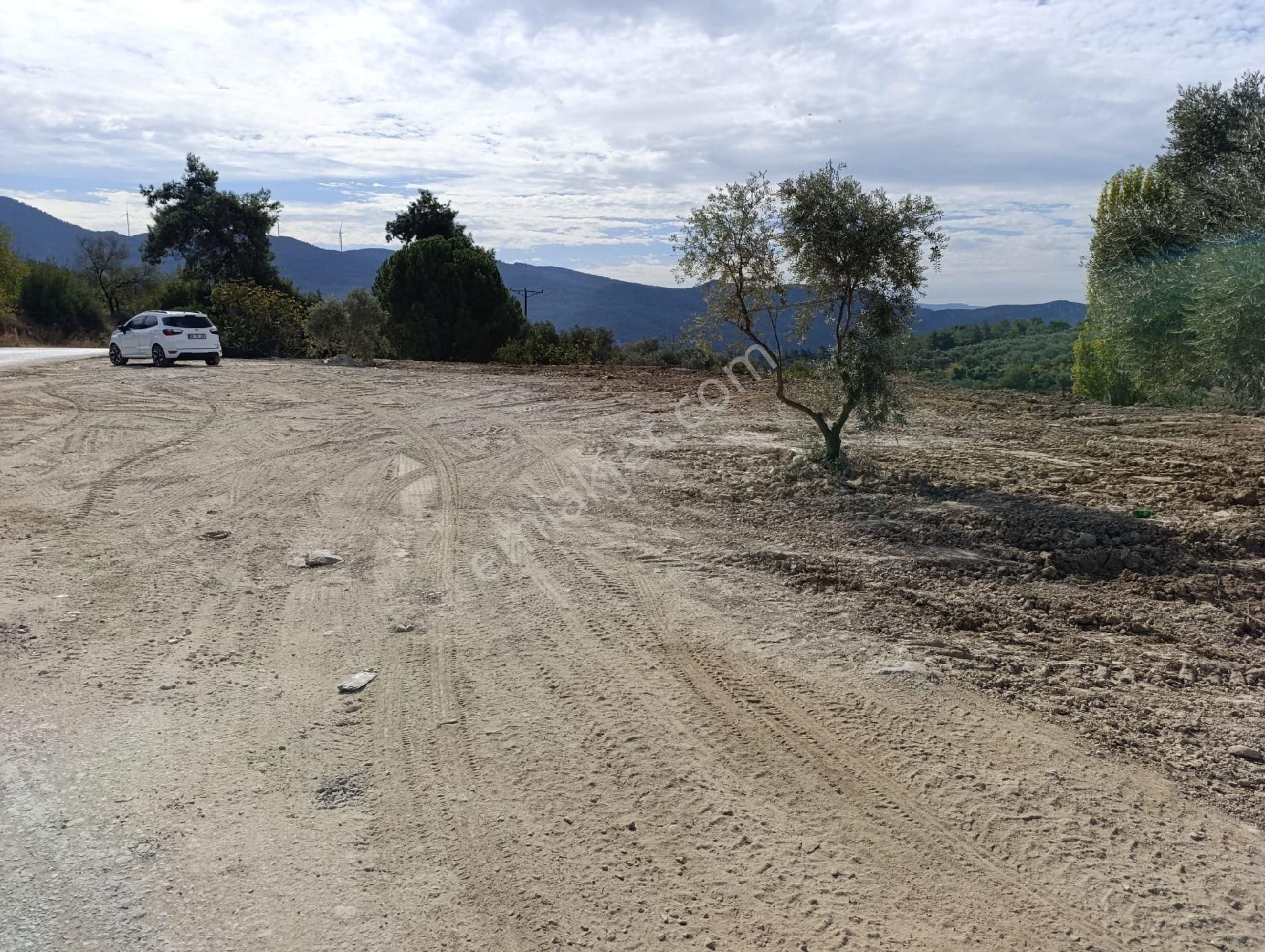 Kuşadası Çınar Köyü Anayoluna Sıfır Müstakil Parsel 1.645 M2 Satılık Tarla - Görsel 2