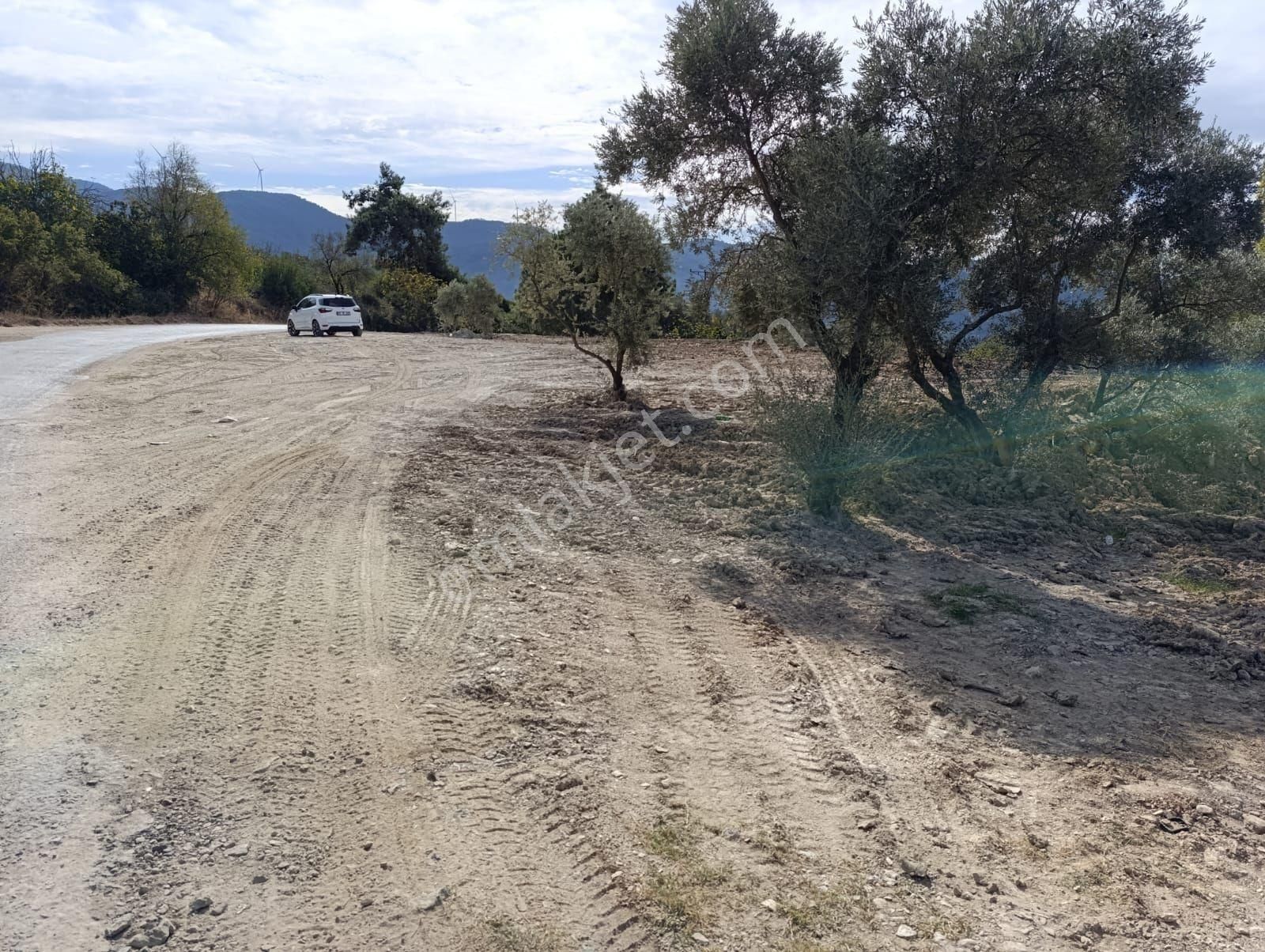 Kuşadası Çınar Köyü Anayoluna Sıfır Müstakil Parsel 1.645 M2 Satılık Tarla