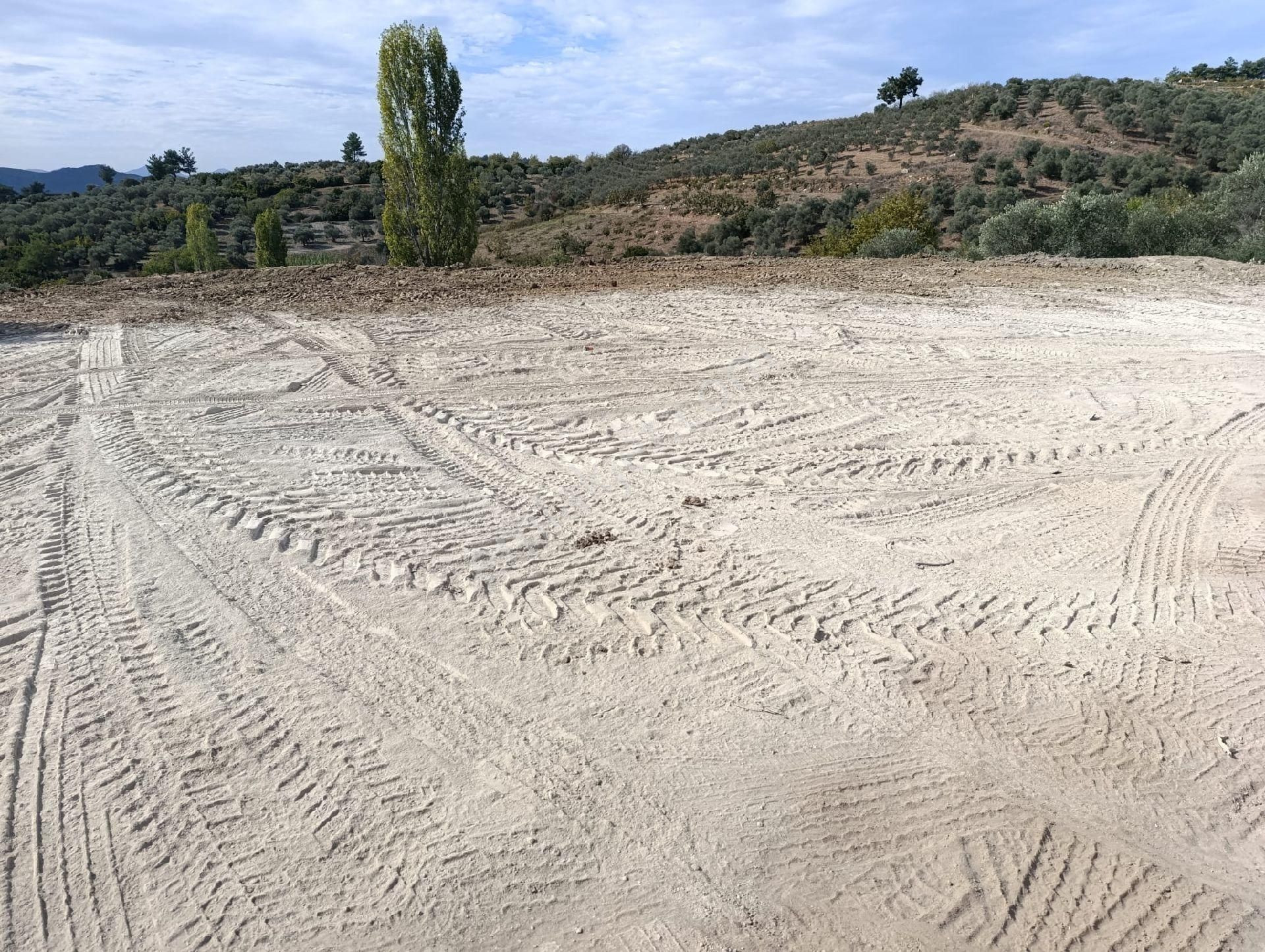 Kuşadası Çınar Köyü Anayoluna Sıfır Müstakil Parsel 1.645 M2 Satılık Tarla - Görsel 13