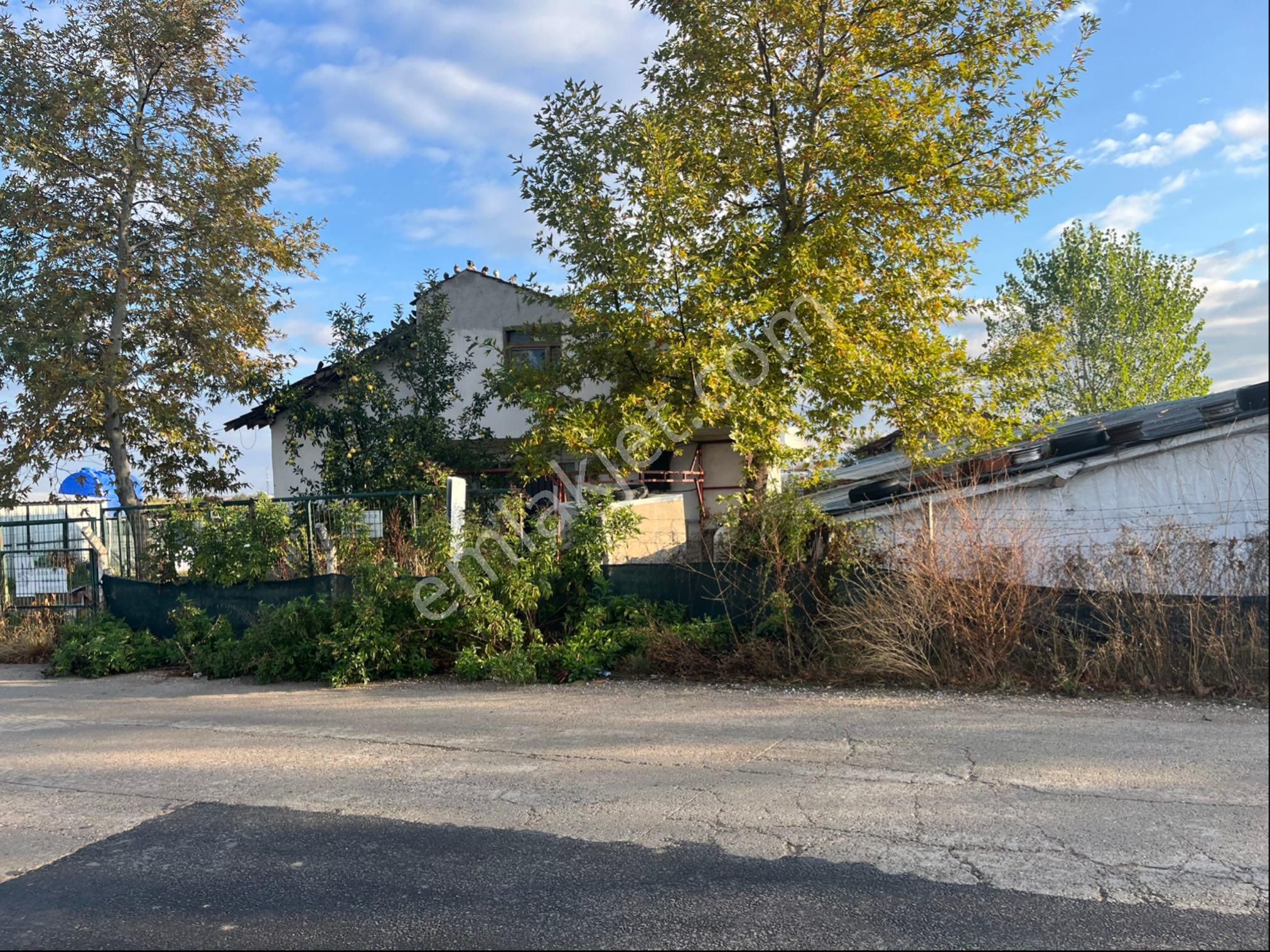 İnegöl Deydinler’de Asfalta Sıfır Müstakil Çiftlik – Besihane Ve Tarla - Görsel 3