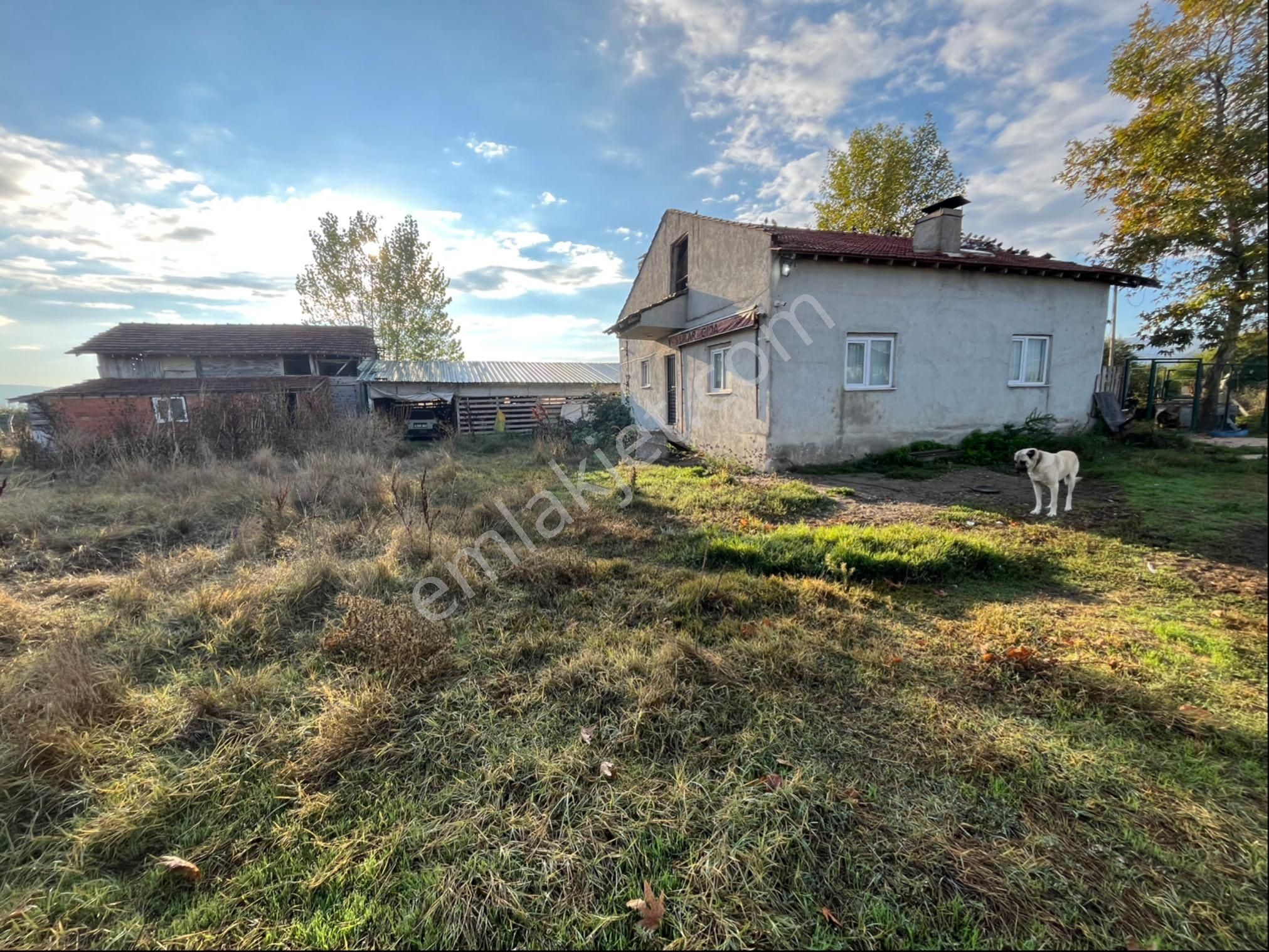 İnegöl Deydinler’de Asfalta Sıfır Müstakil Çiftlik – Besihane Ve Tarla - Görsel 5