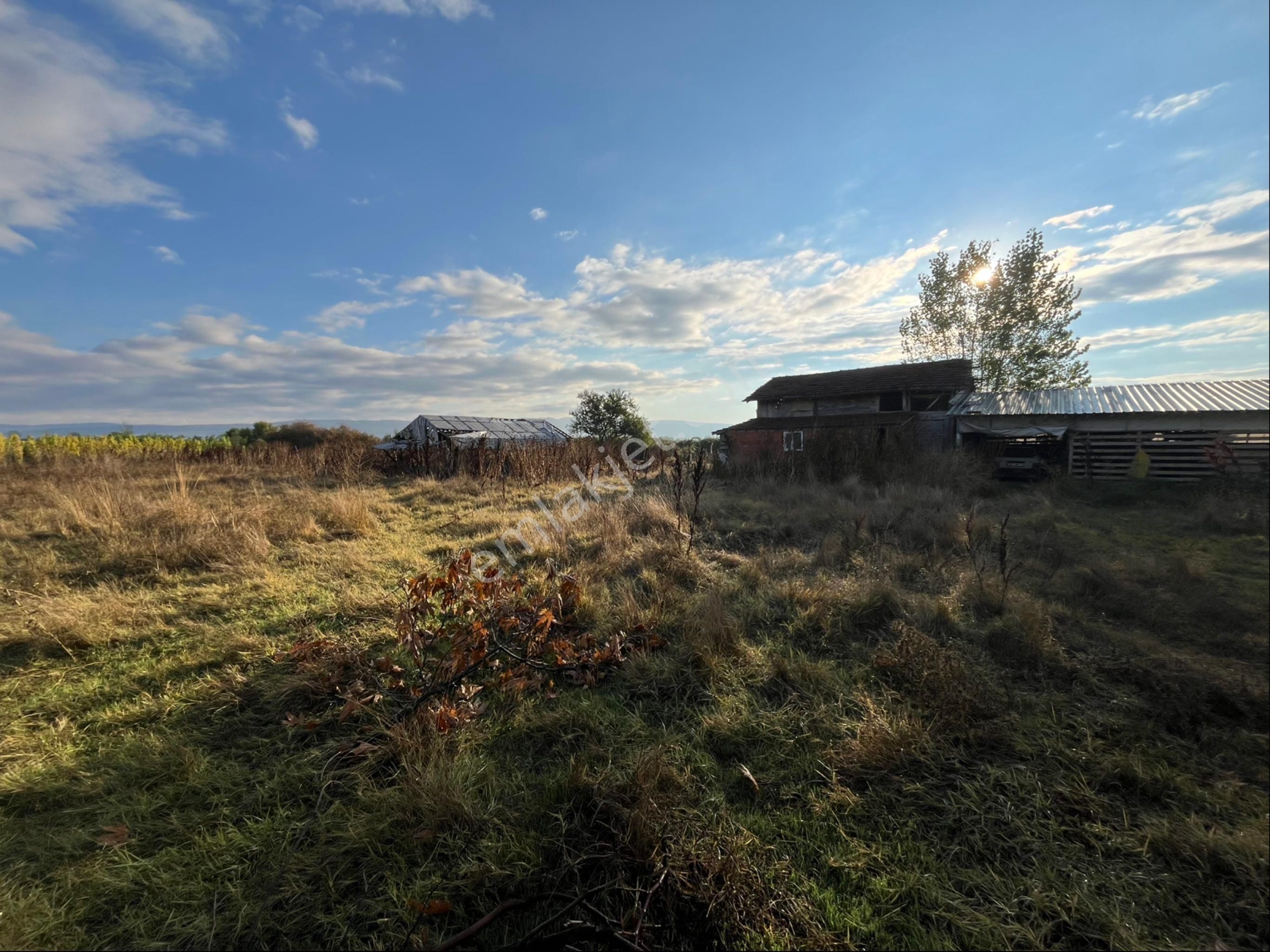 İnegöl Deydinler’de Asfalta Sıfır Müstakil Çiftlik – Besihane Ve Tarla - Görsel 6