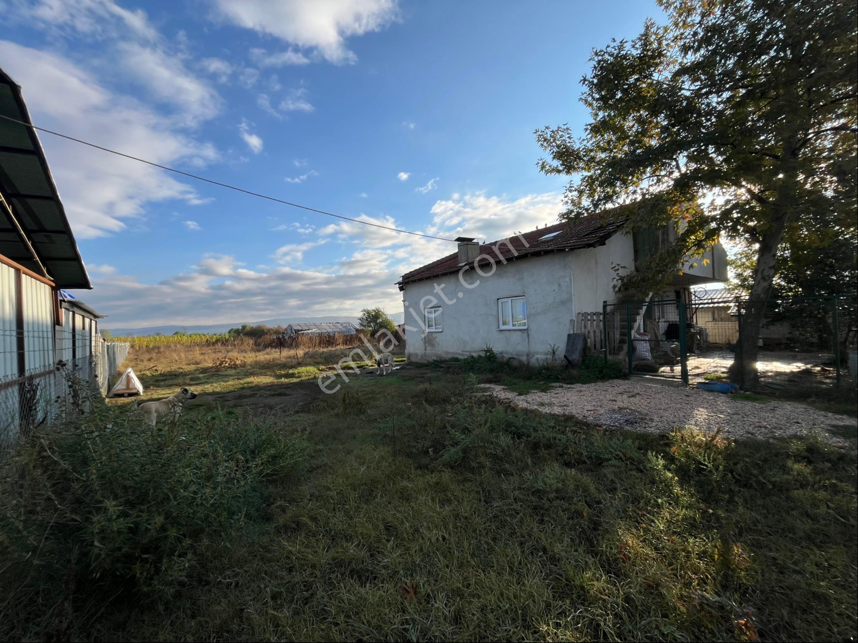 İnegöl Deydinler’de Asfalta Sıfır Müstakil Çiftlik – Besihane Ve Tarla - Görsel 4