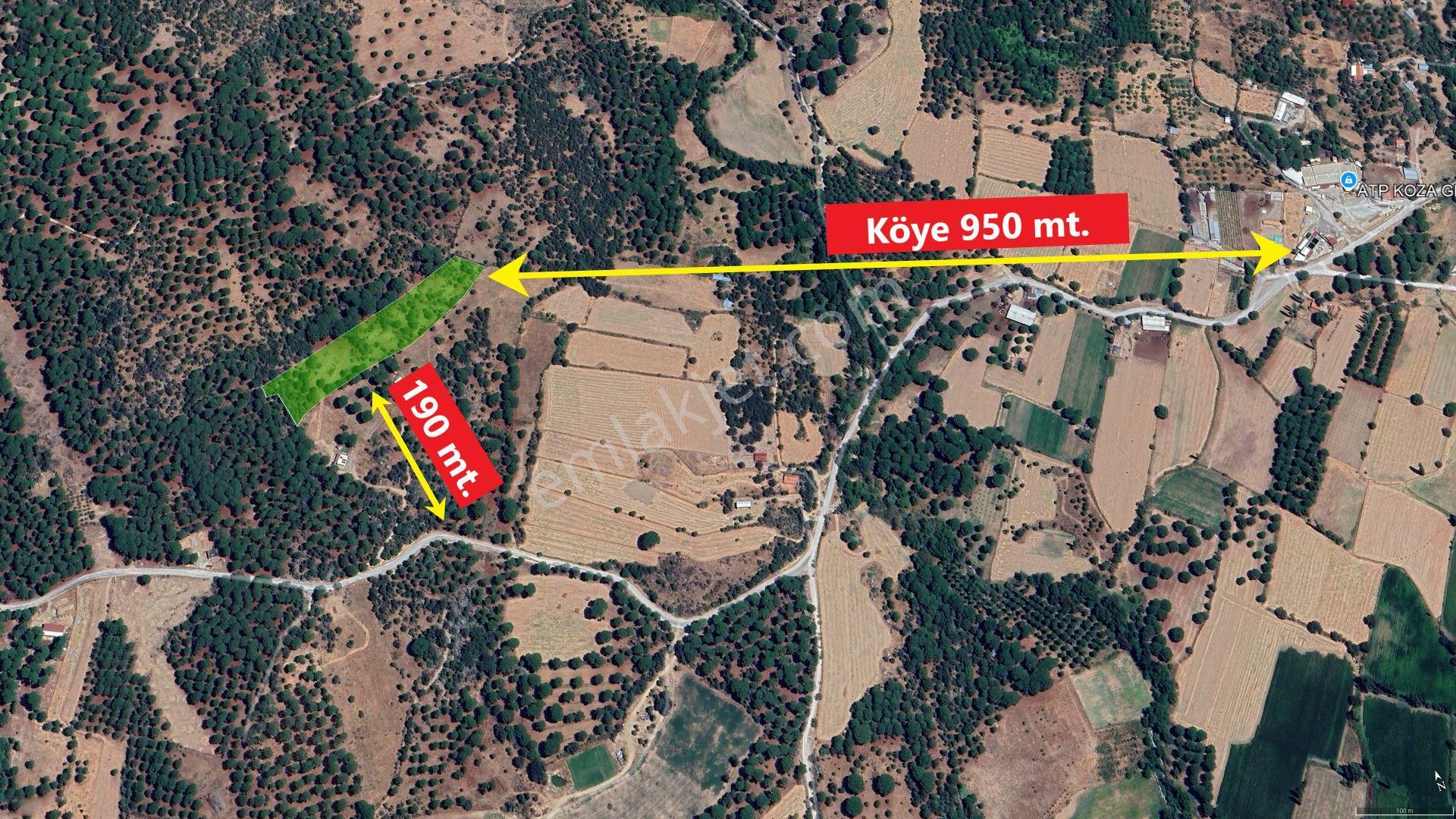 Pinus Gayrimenkul'den///kozak Çamavlu'da 13.499 M² Satılık Fıstık Çamlı Tarla - Görsel 2