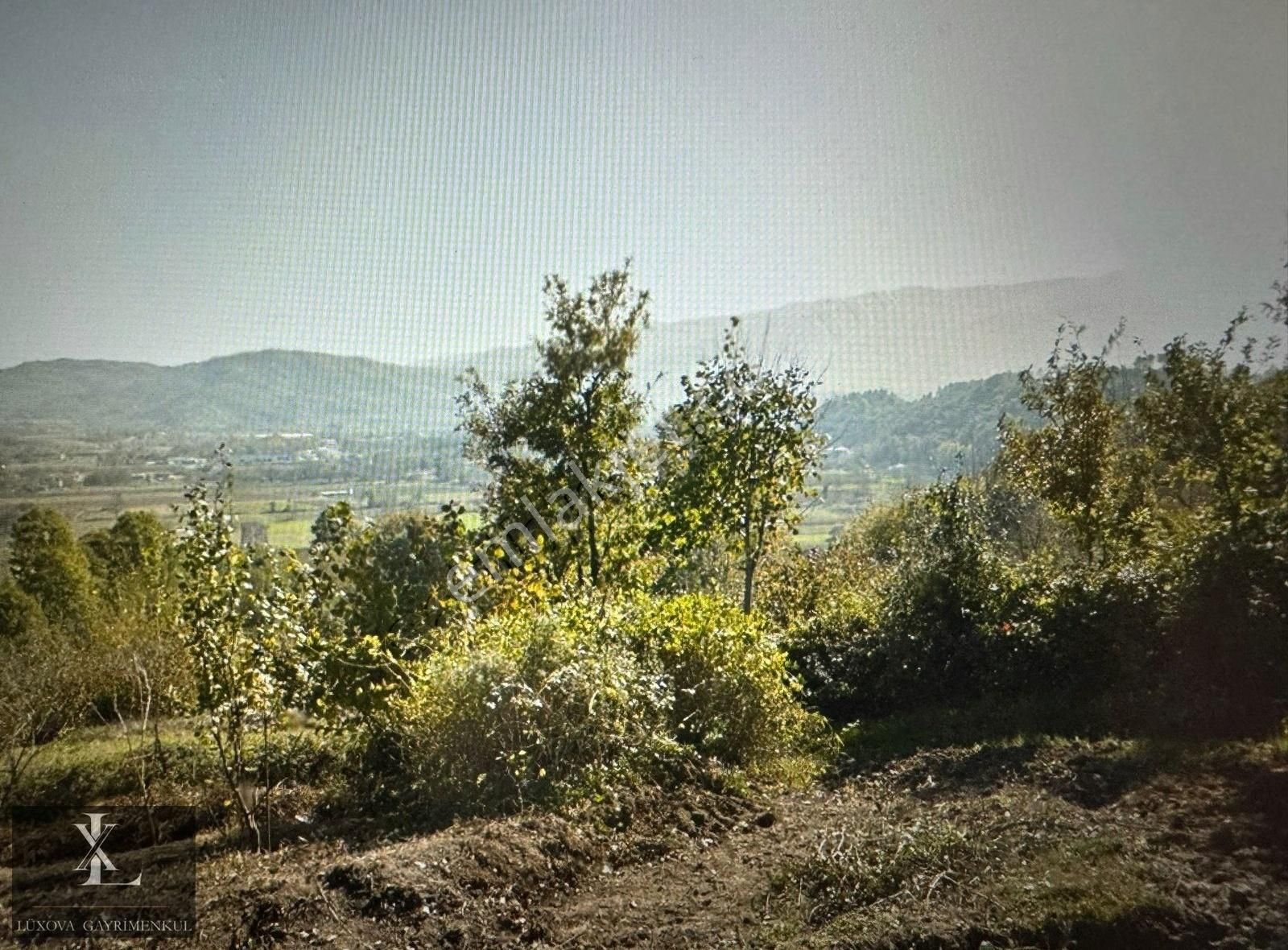 Arifiyede İmar Sınırı 11582 M2 Çift Yola Cephe Tek Tapu Fırsattt - Görsel 30