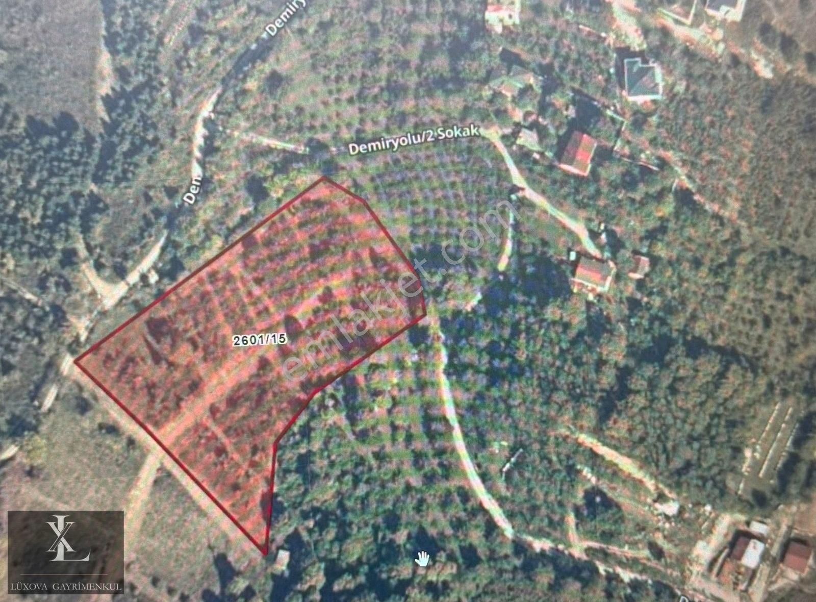 Arifiyede İmar Sınırı 11582 M2 Çift Yola Cephe Tek Tapu Fırsattt - Görsel 34