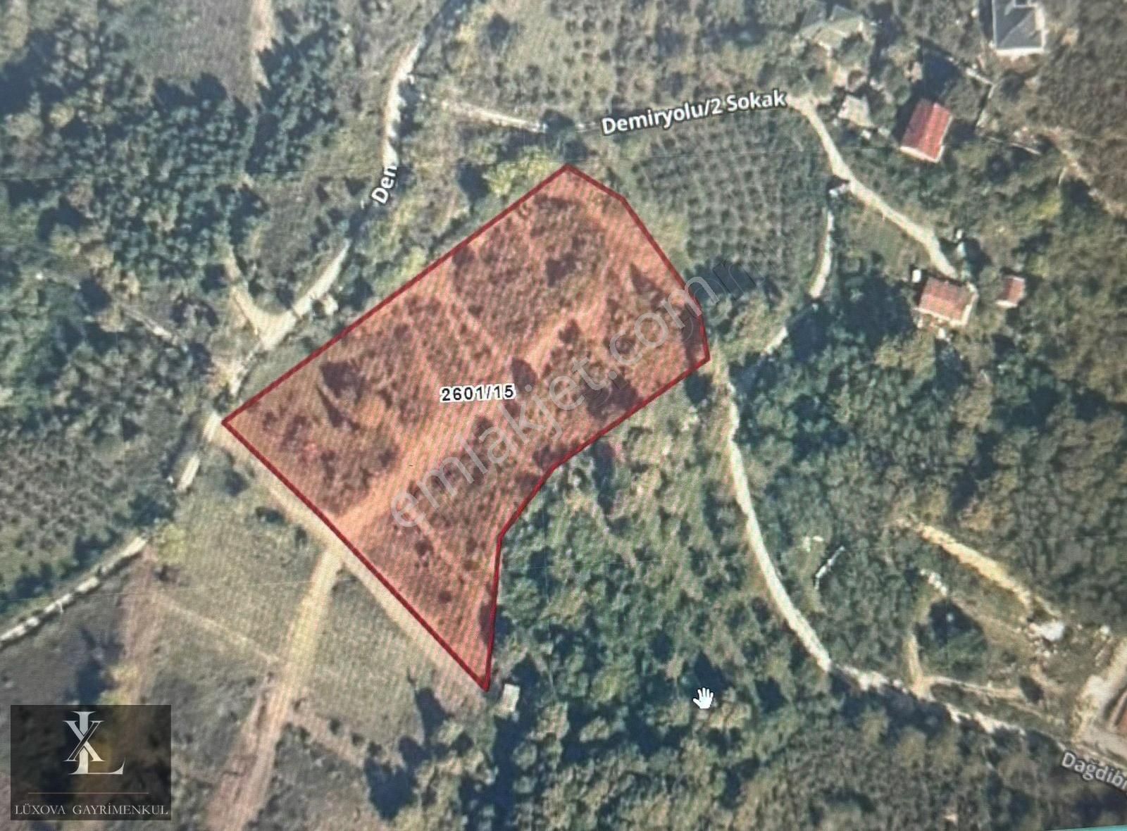 Arifiyede İmar Sınırı 11582 M2 Çift Yola Cephe Tek Tapu Fırsattt - Görsel 27