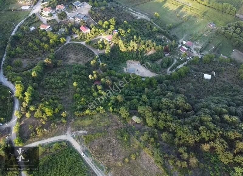 Arifiyede İmar Sınırı 11582 M2 Çift Yola Cephe Tek Tapu Fırsattt - Görsel 5