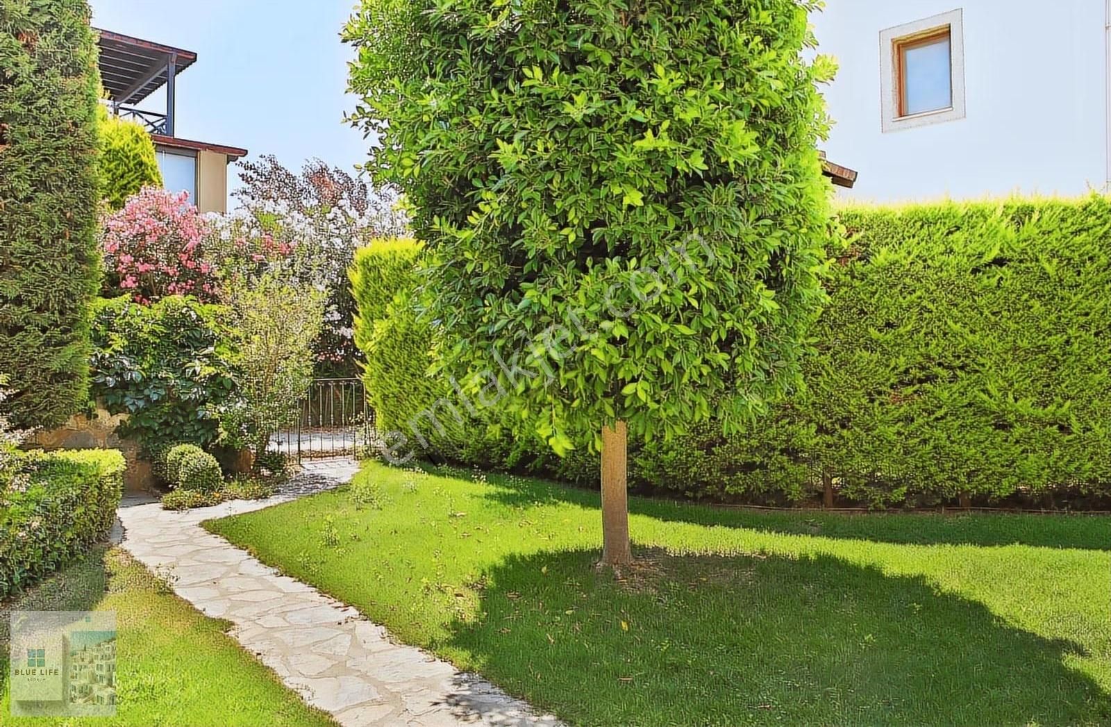 Muğla Bodrum Yalıkavakta Deniz Manzaralı Havuzlu Kiralık Villa - Görsel 2