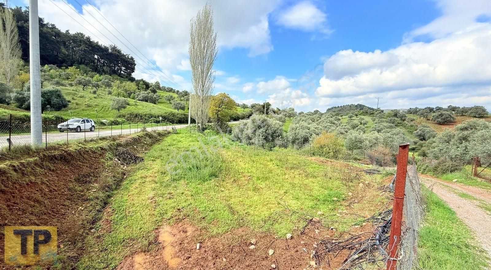 Tire Pınar Emlak Tan Satılık Bahçe - Görsel 3