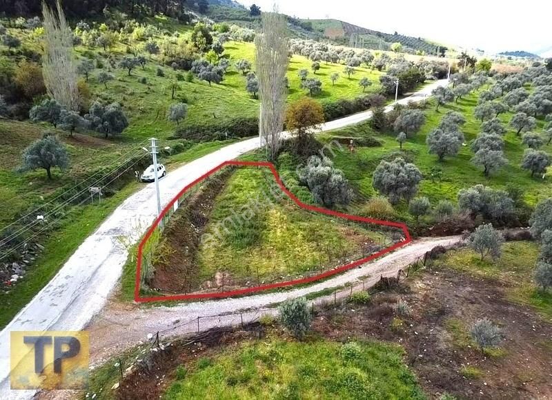 Tire Pınar Emlak Tan Satılık Bahçe - Görsel 8