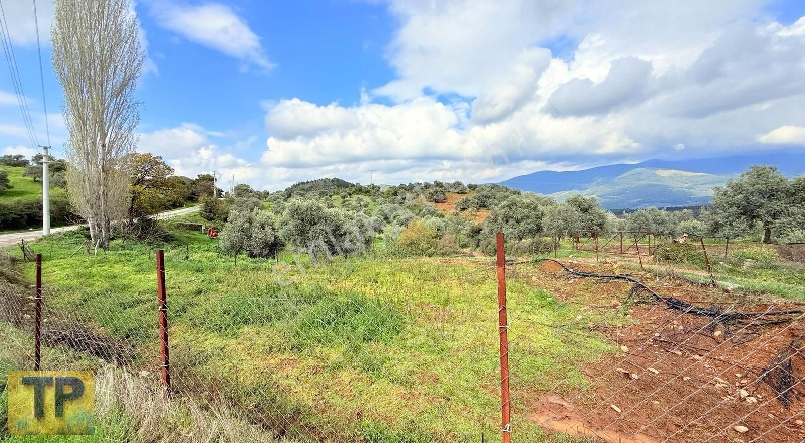 Tire Pınar Emlak Tan Satılık Bahçe - Görsel 12