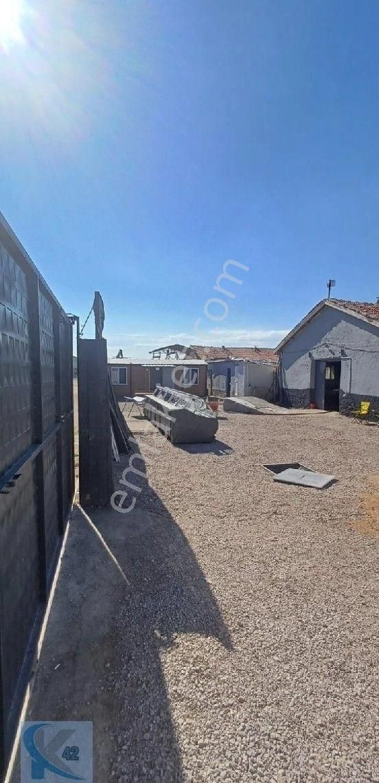 Tatlicakta 45 Buyukbas İçeri 45 Büyükbaş Acik Çardak Satılık. - Görsel 6