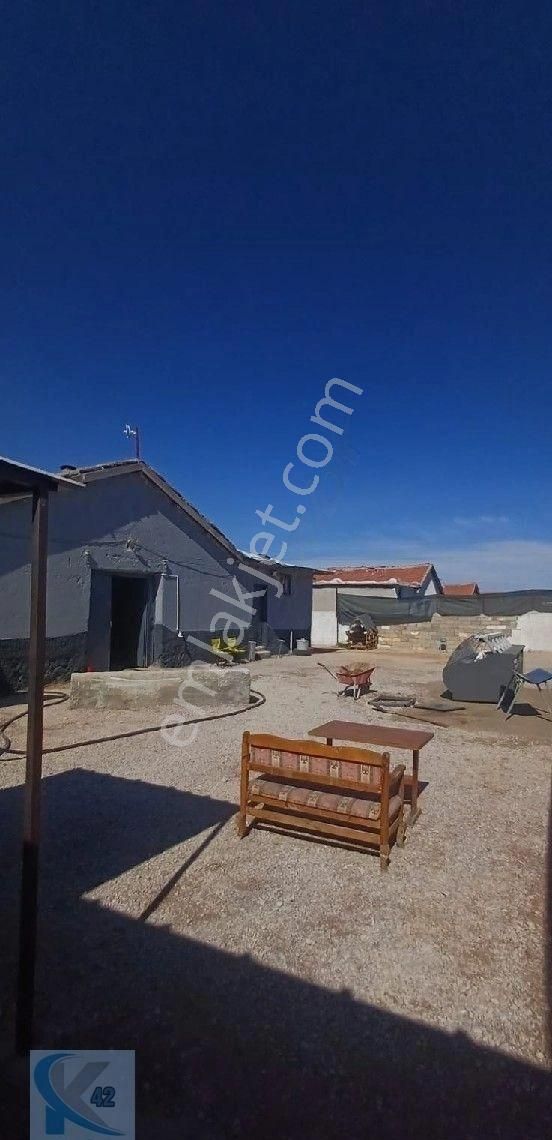 Tatlicakta 45 Buyukbas İçeri 45 Büyükbaş Acik Çardak Satılık. - Görsel 5