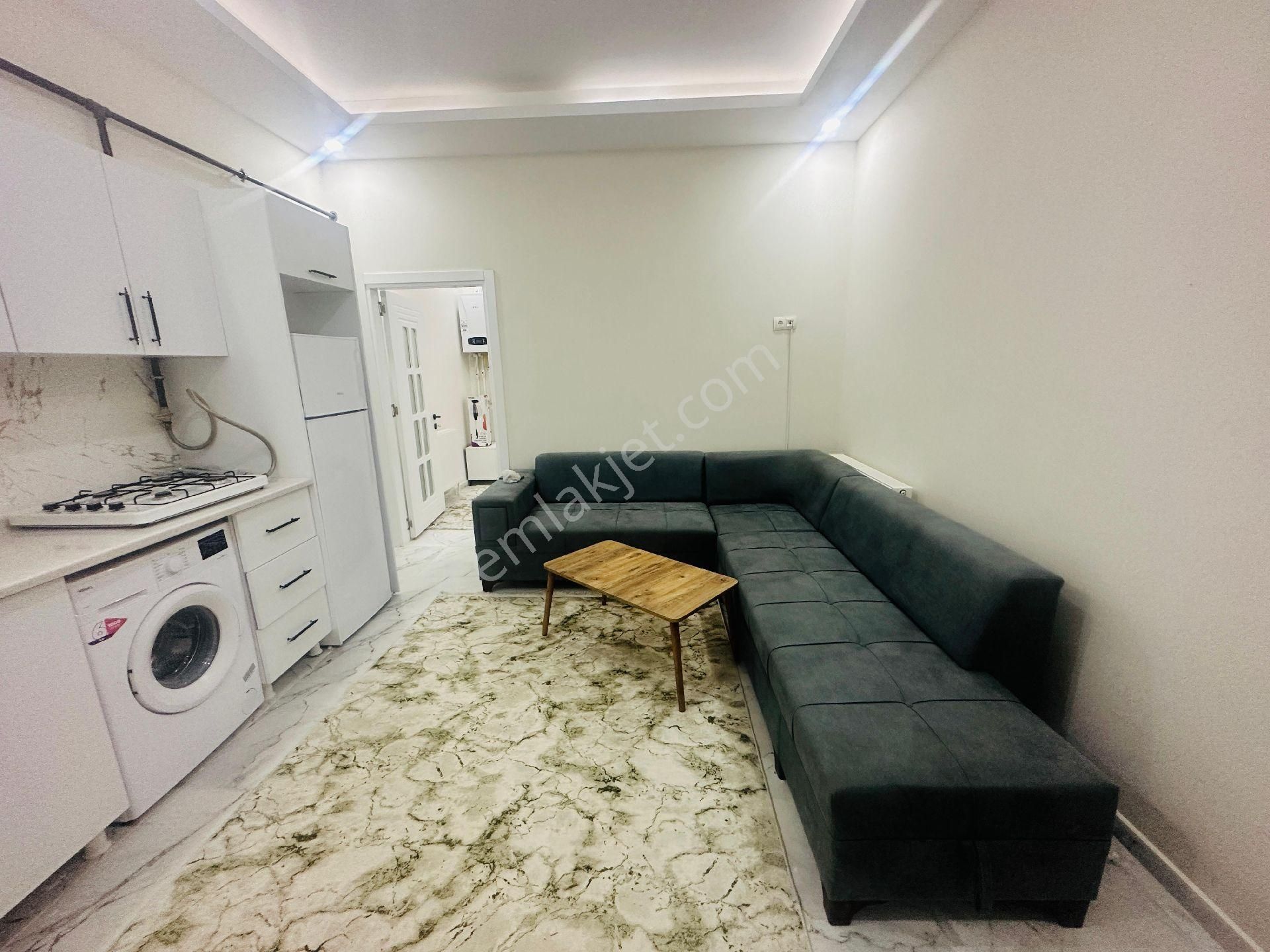 Dinç Emlaktan Satılık 1+1 Eşyalı Hazir Kiracılı - Görsel 2