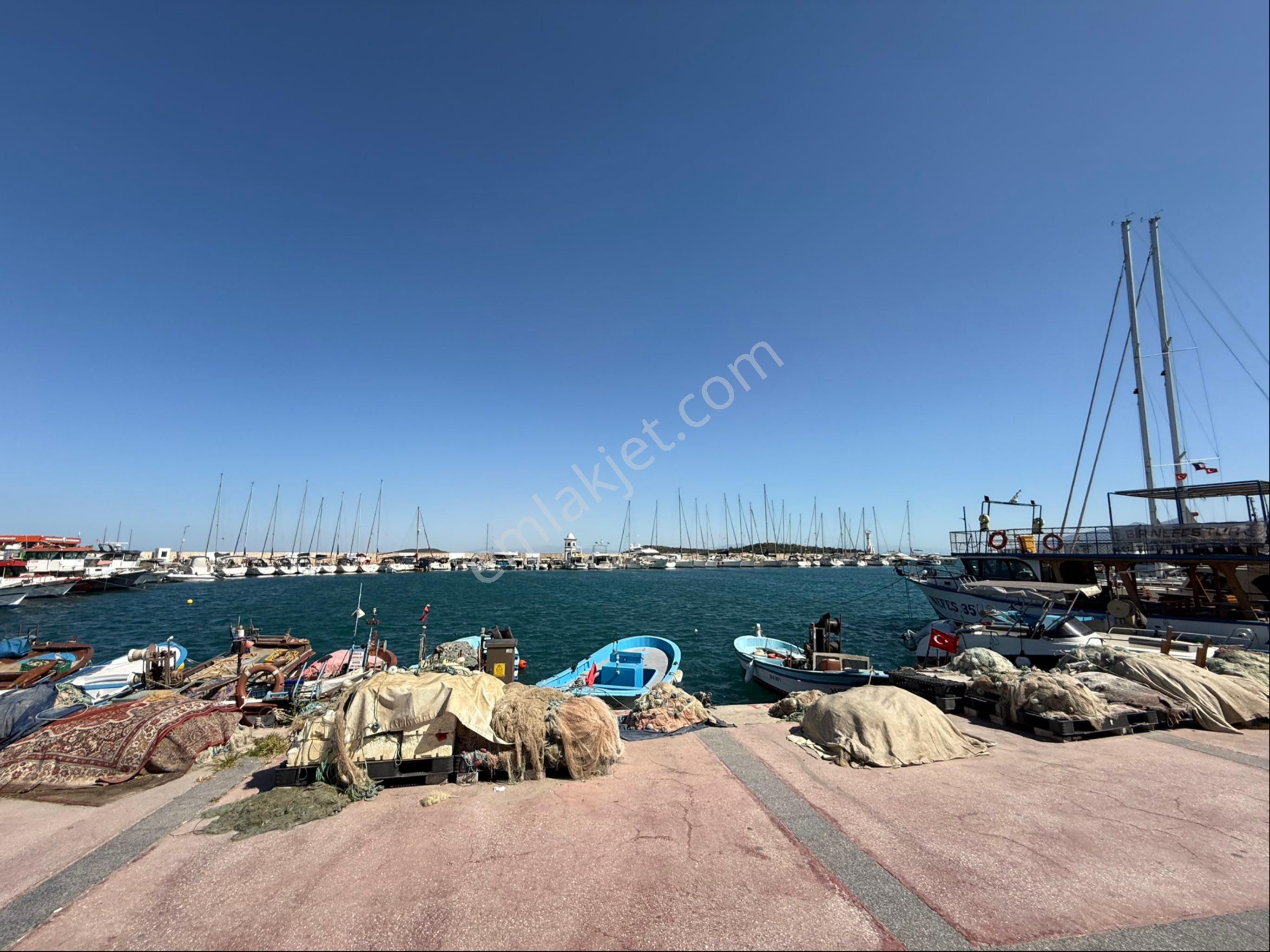 Urla Nın Gözde Konumu İskele De Satılık Zeytinlik - Görsel 4