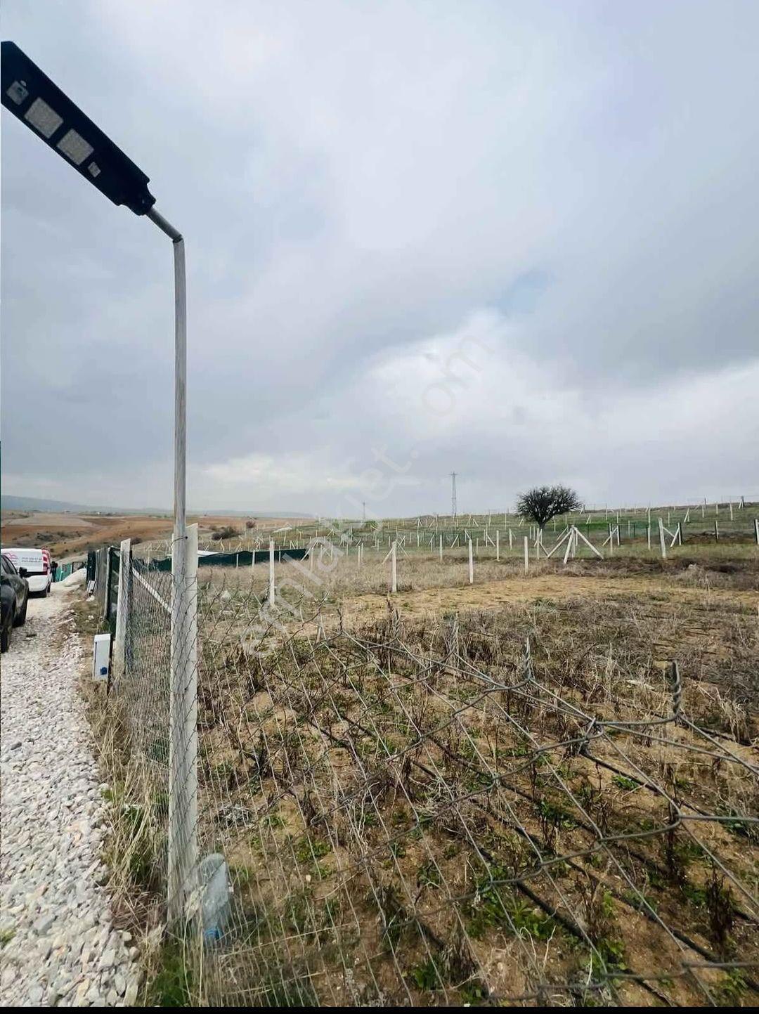 Elektrik Su Aktif Elmadağ Yenimahalle'de Hobi Bahçeleri - Görsel 4