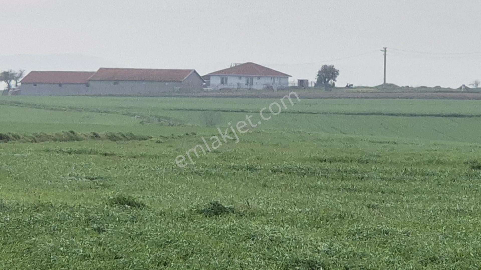 Edirne-ipsala-esetçe-satılık Arazi-ana Yola Ve Yerleşime 1 Km-tek Tapu - Görsel 14
