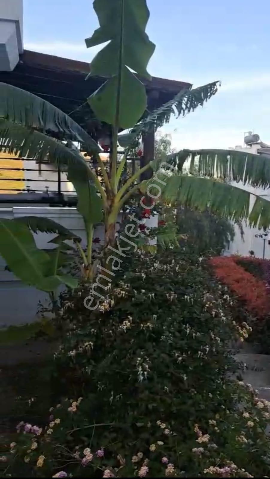 Bodrum Mumcular Merkezde Satılık Bahçe Katı Daire