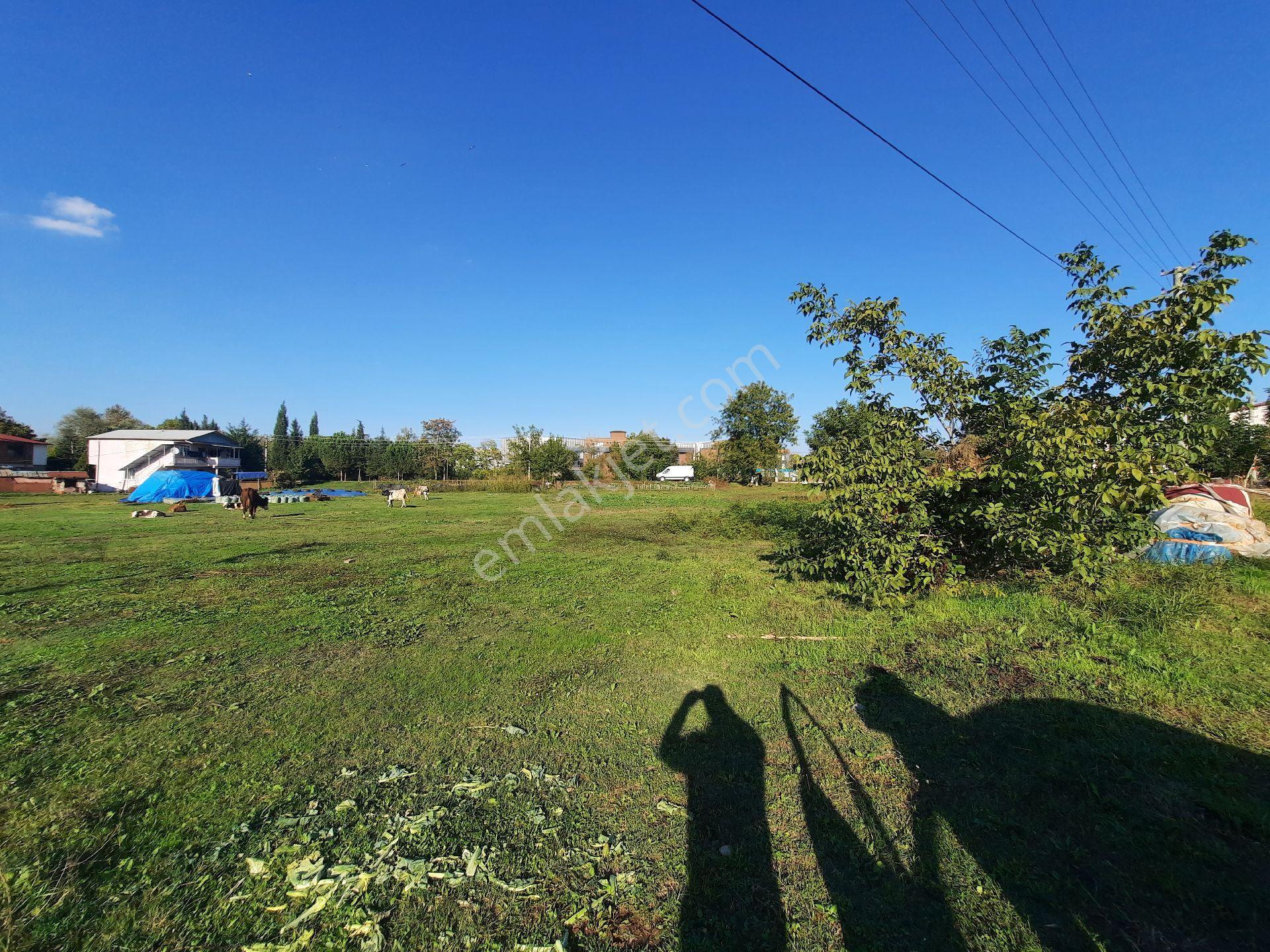 Basiskele Kullar'da Satilik 625 M2 İmarli Arsa - Görsel 8
