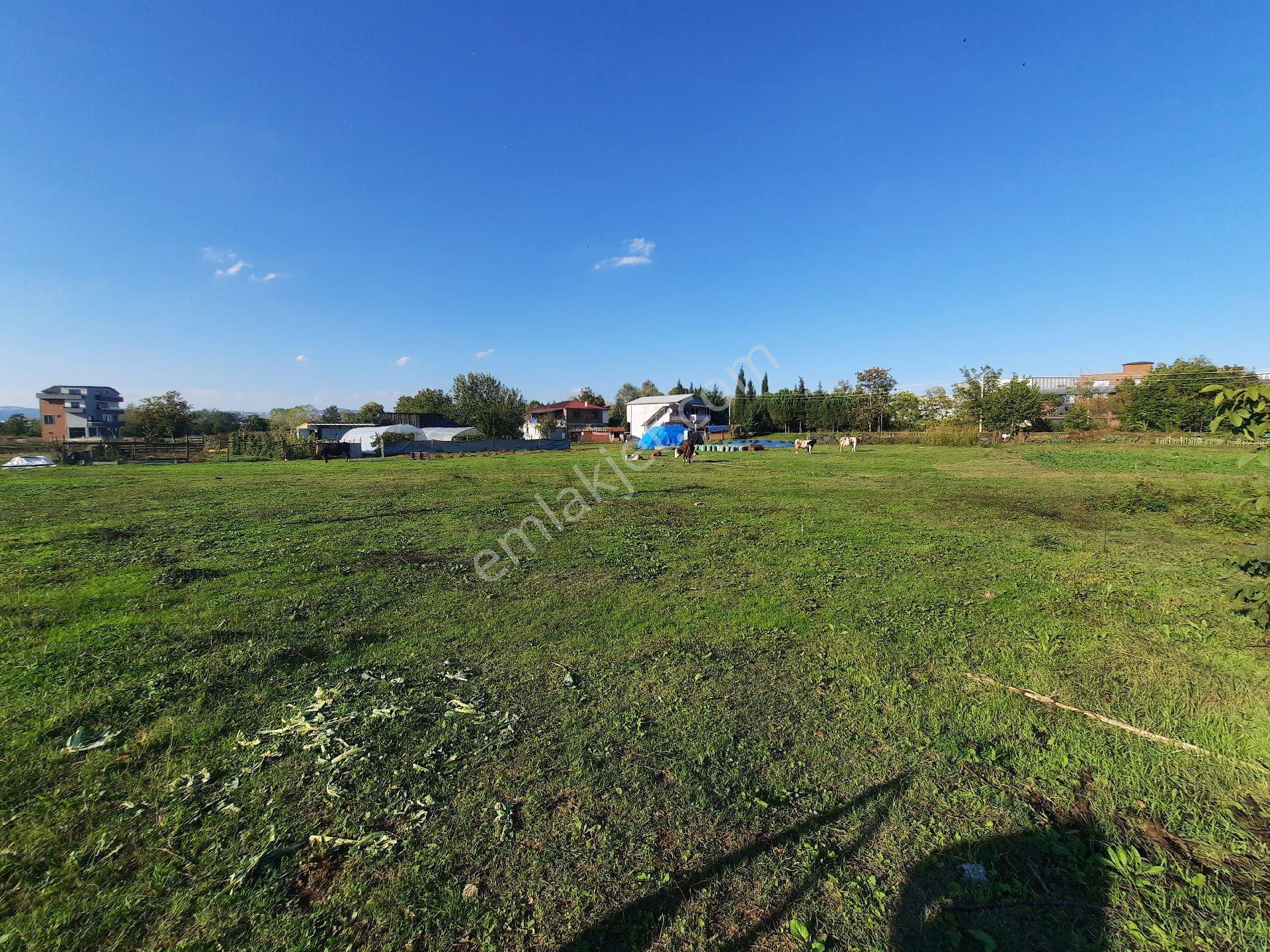 Basiskele Kullar'da Satilik 625 M2 İmarli Arsa - Görsel 3