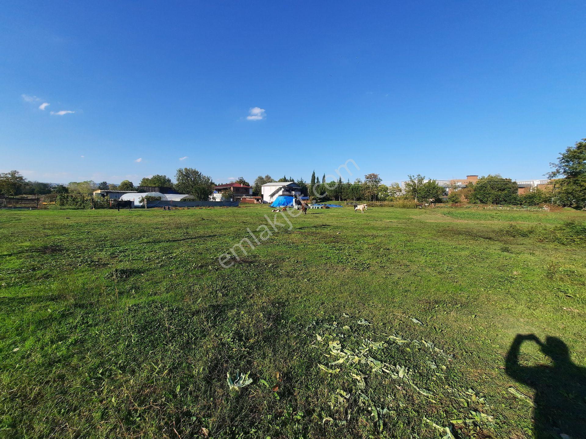 Basiskele Kullar'da Satilik 625 M2 İmarli Arsa - Görsel 6