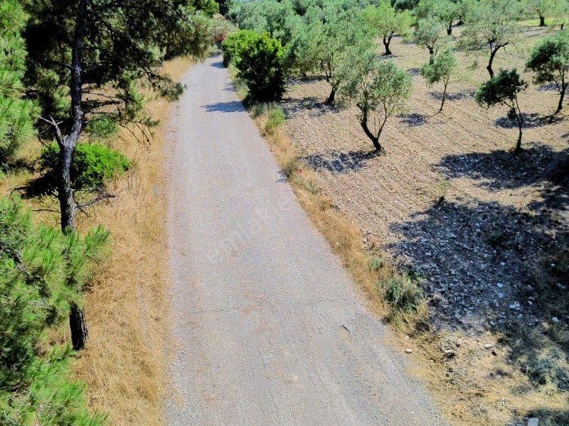 Bülent Ateşci'den Aliağa Bozköyde 1055 M2 Tarla - Görsel 2