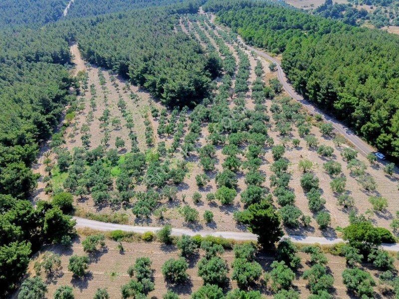 Bülent Ateşci'den Aliağa Bozköyde 1055 M2 Tarla - Görsel 8